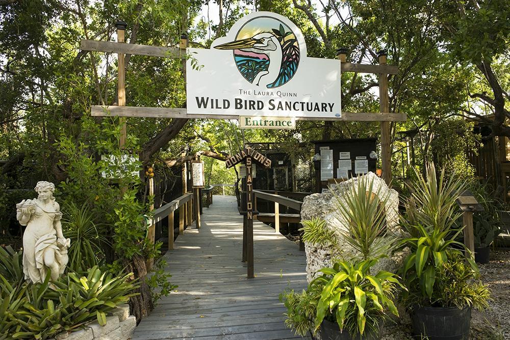 Florida Keys Wild Bird Sanctuary