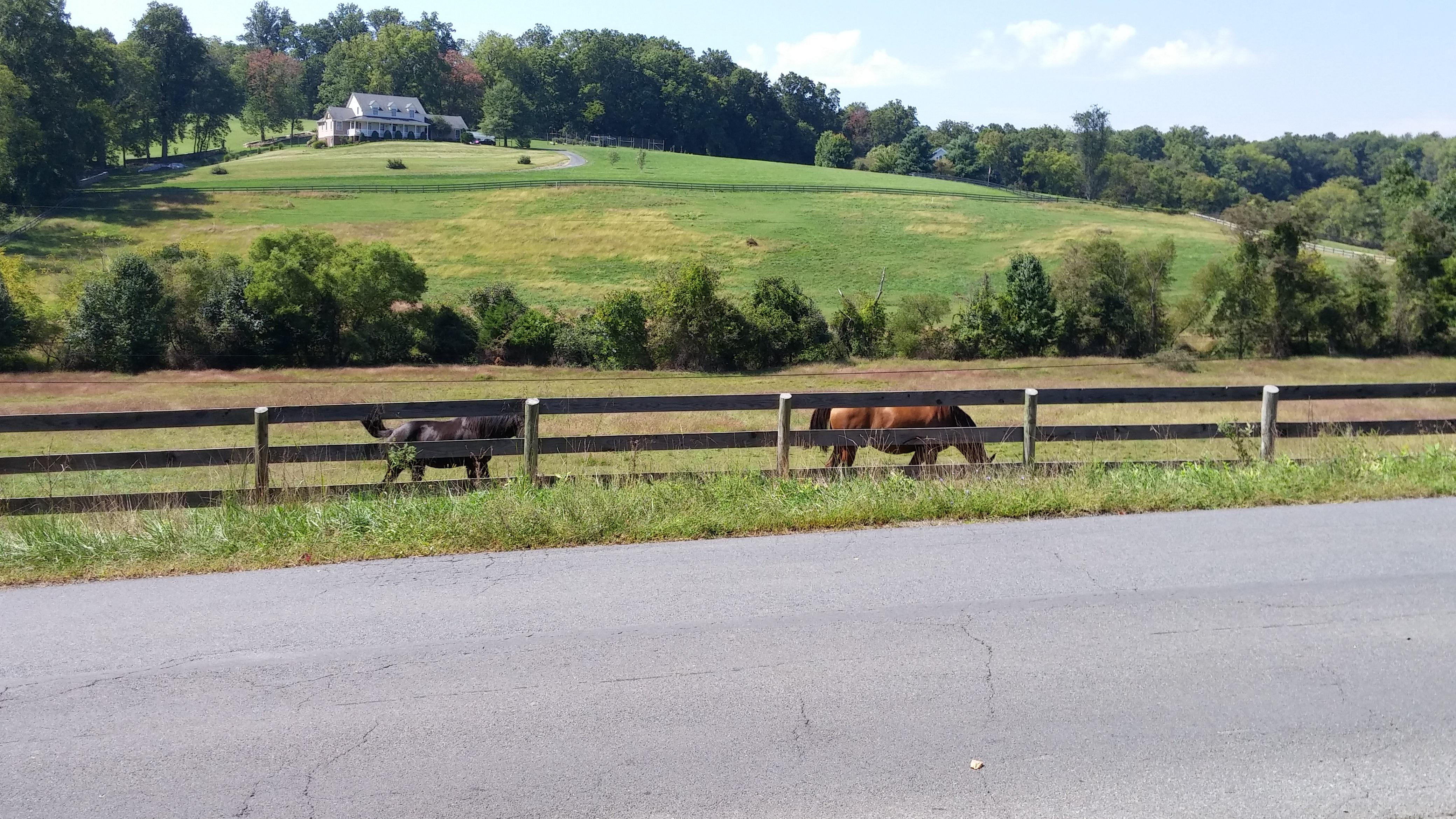 The Washington & Old Dominion Trail