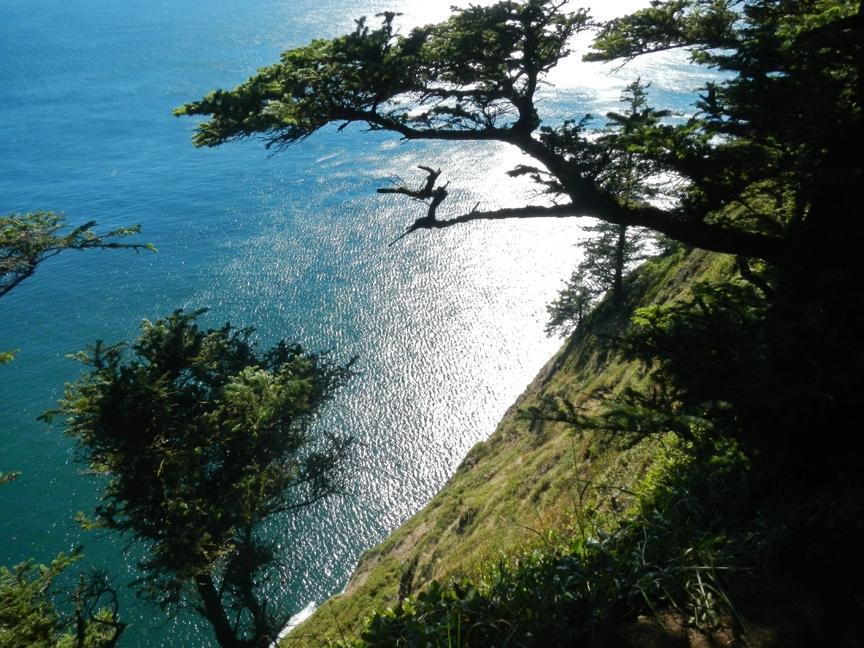 Cape Lookout State Park