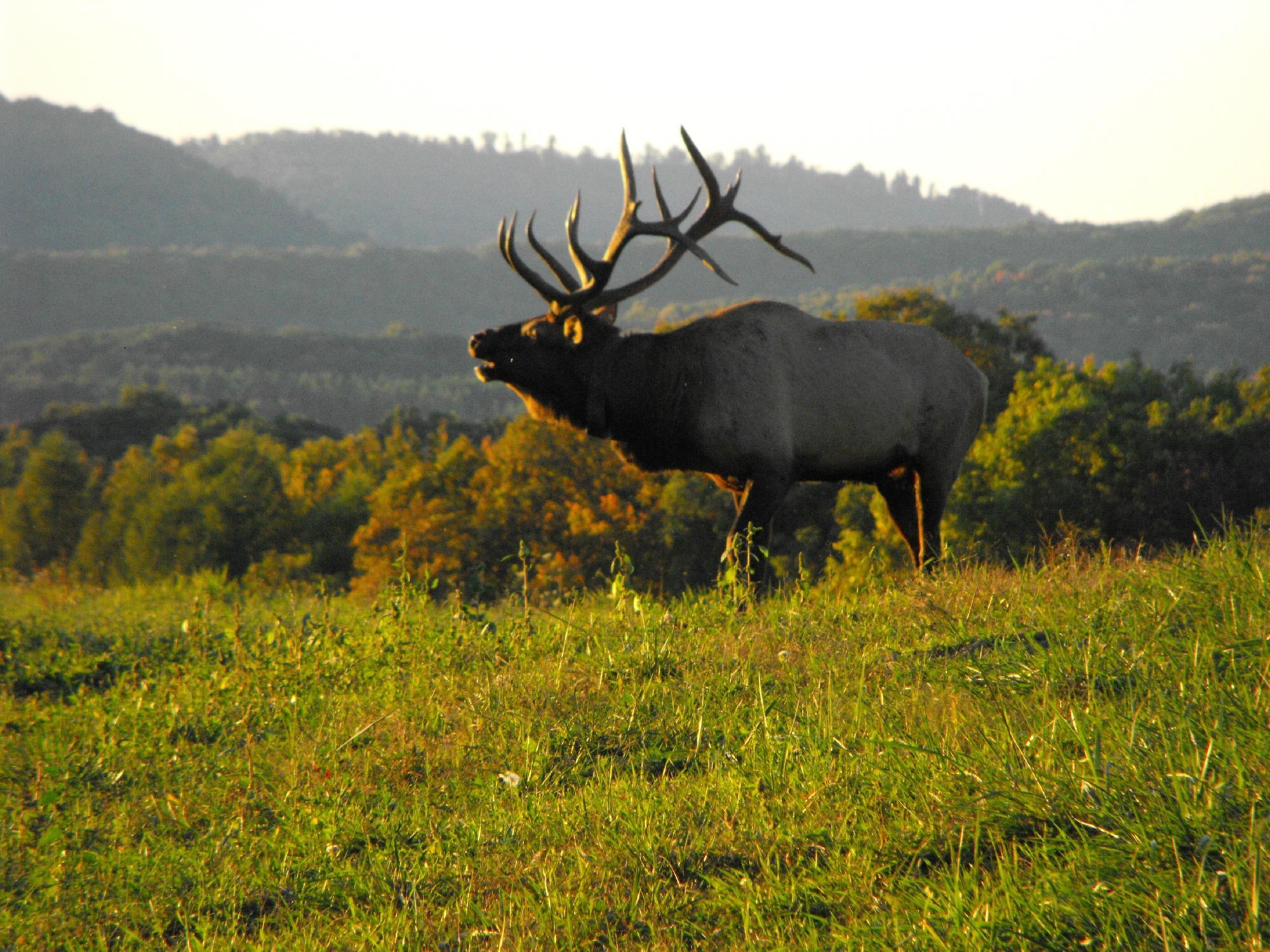 Elk Country Visitor Center