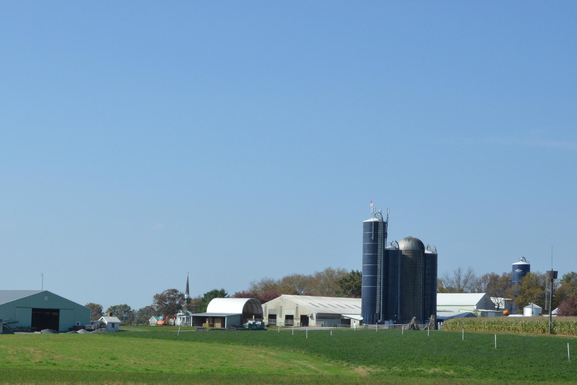 Merrymead Farm