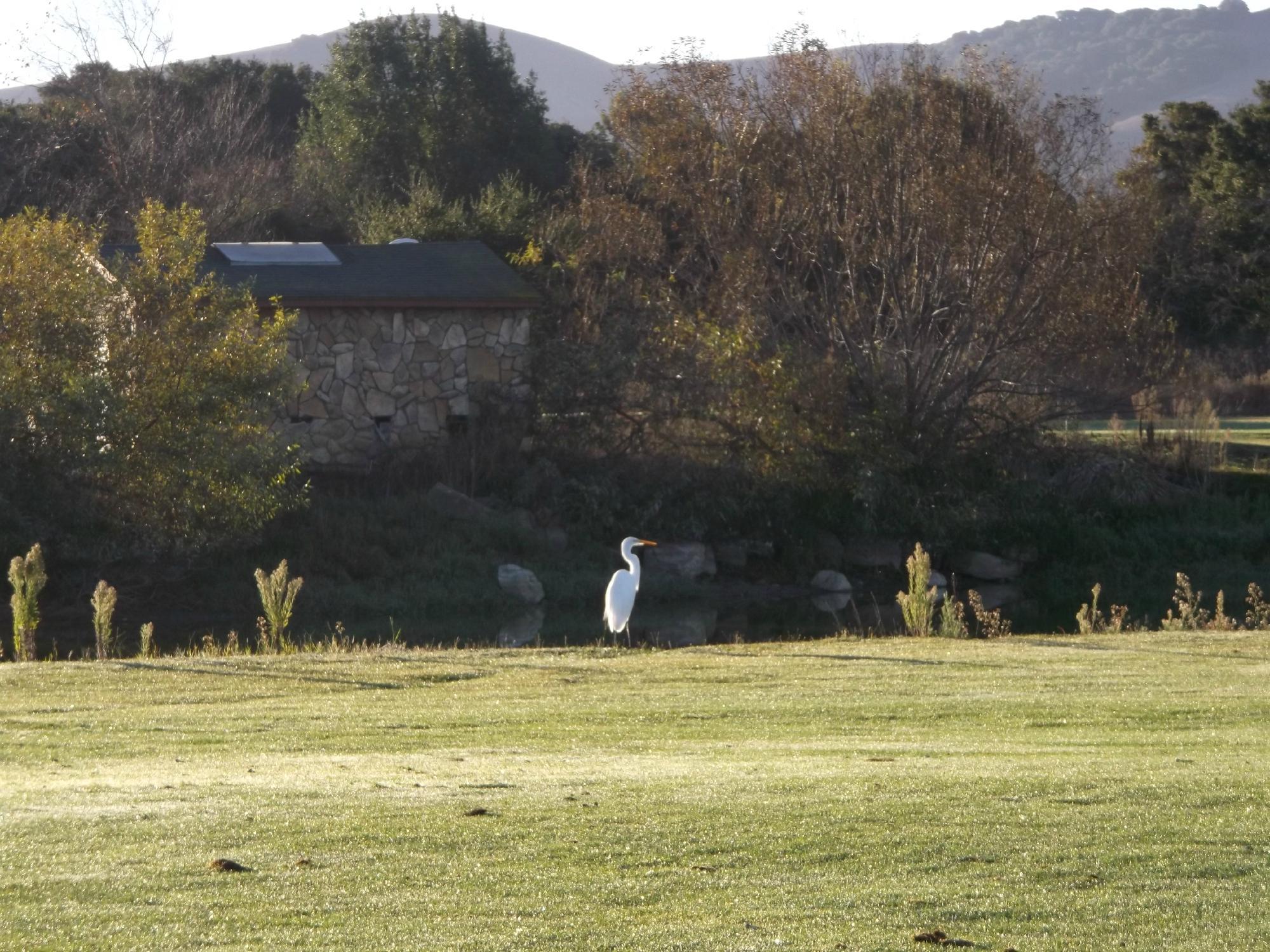 Eagle Vines Golf Club