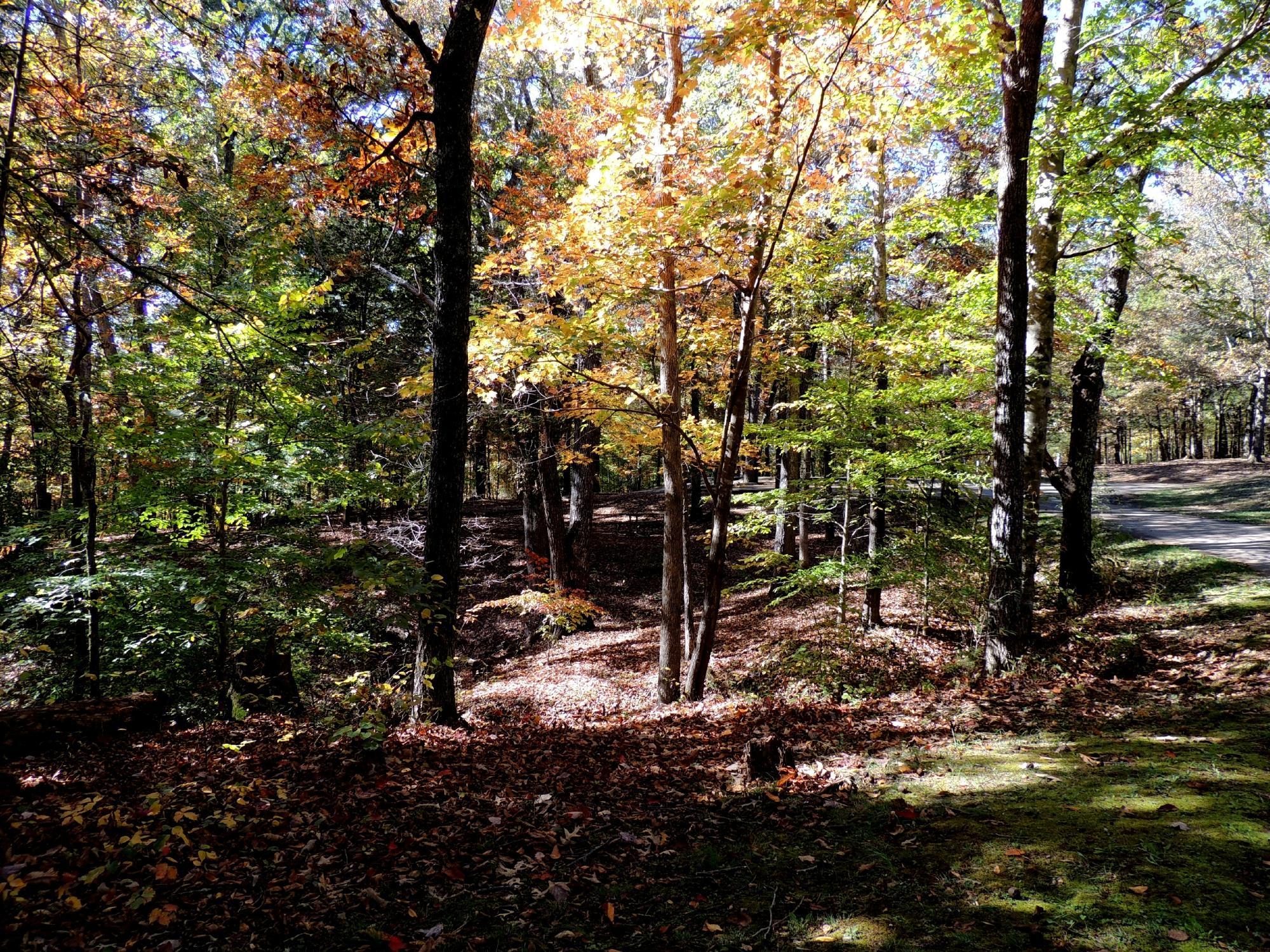 Tims Ford State Park