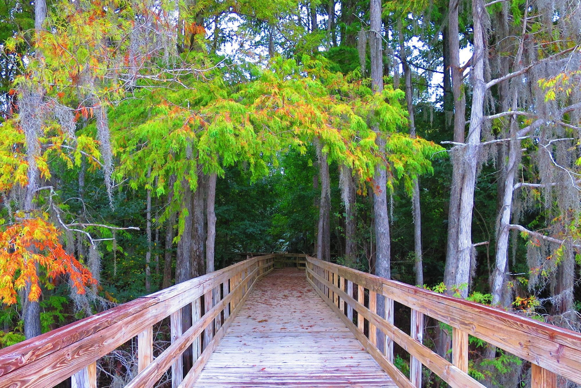 Lake Ashby Park