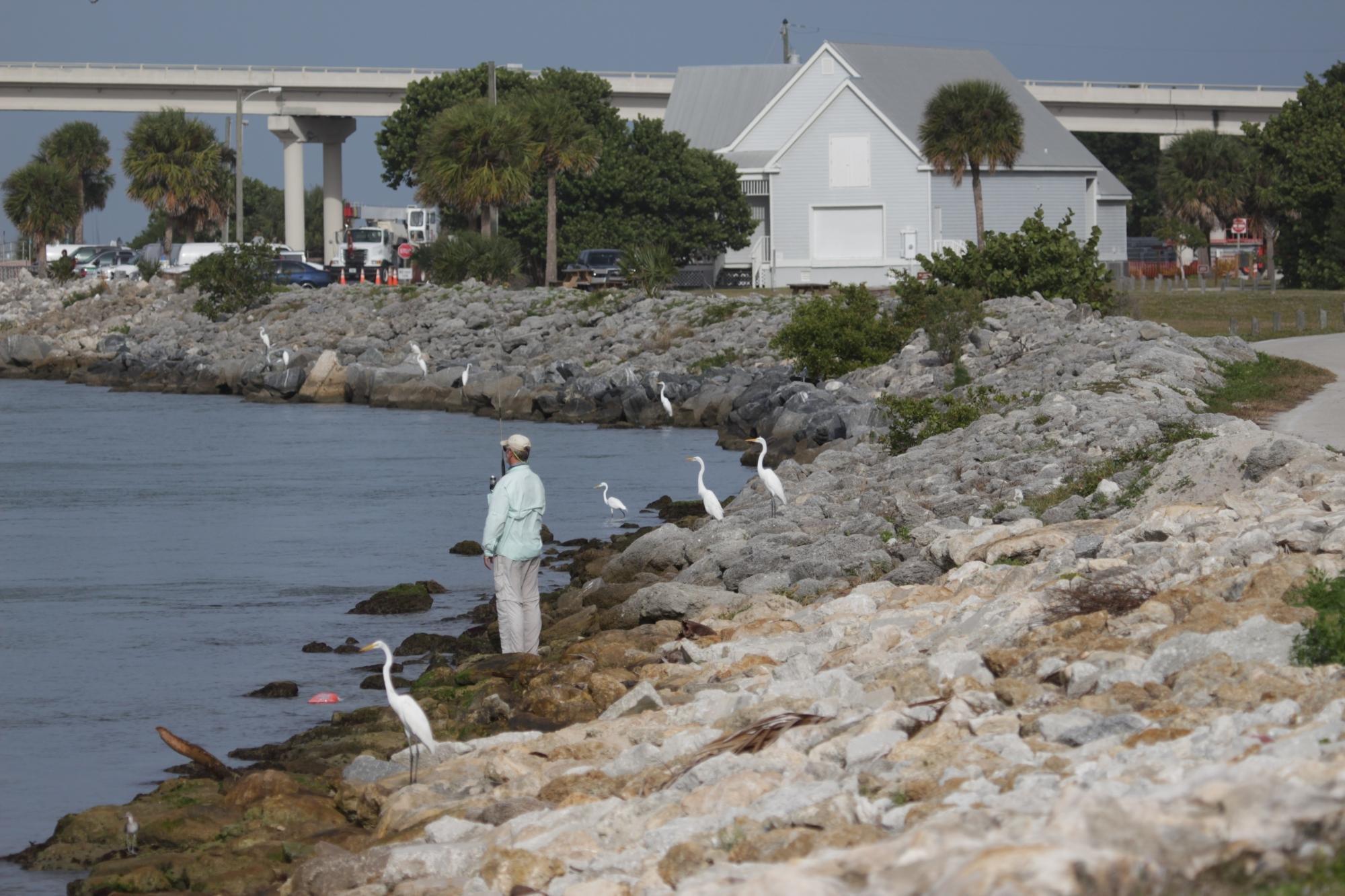 Sebastian Inlet State Recreation Area Campground