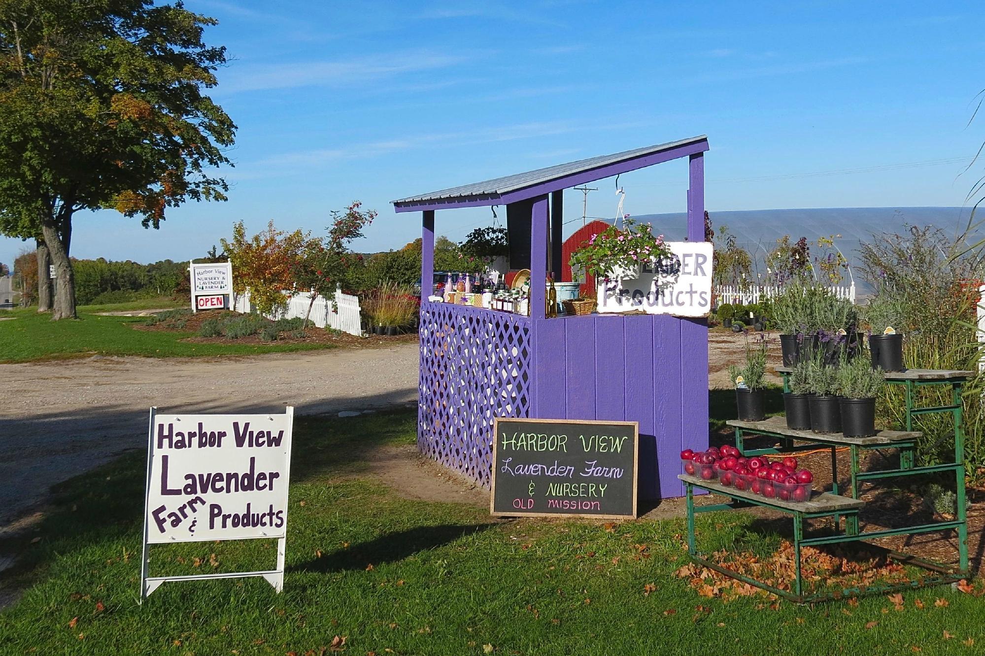 Harbor View Nursery & Lavender Farm