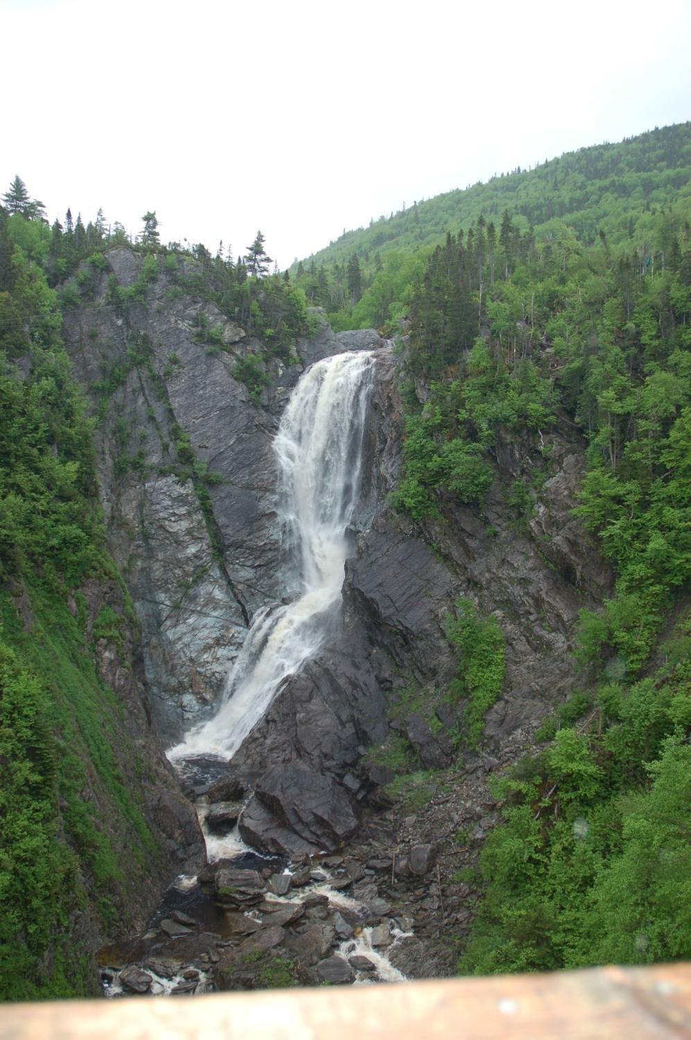 Steady Brook Falls Trail