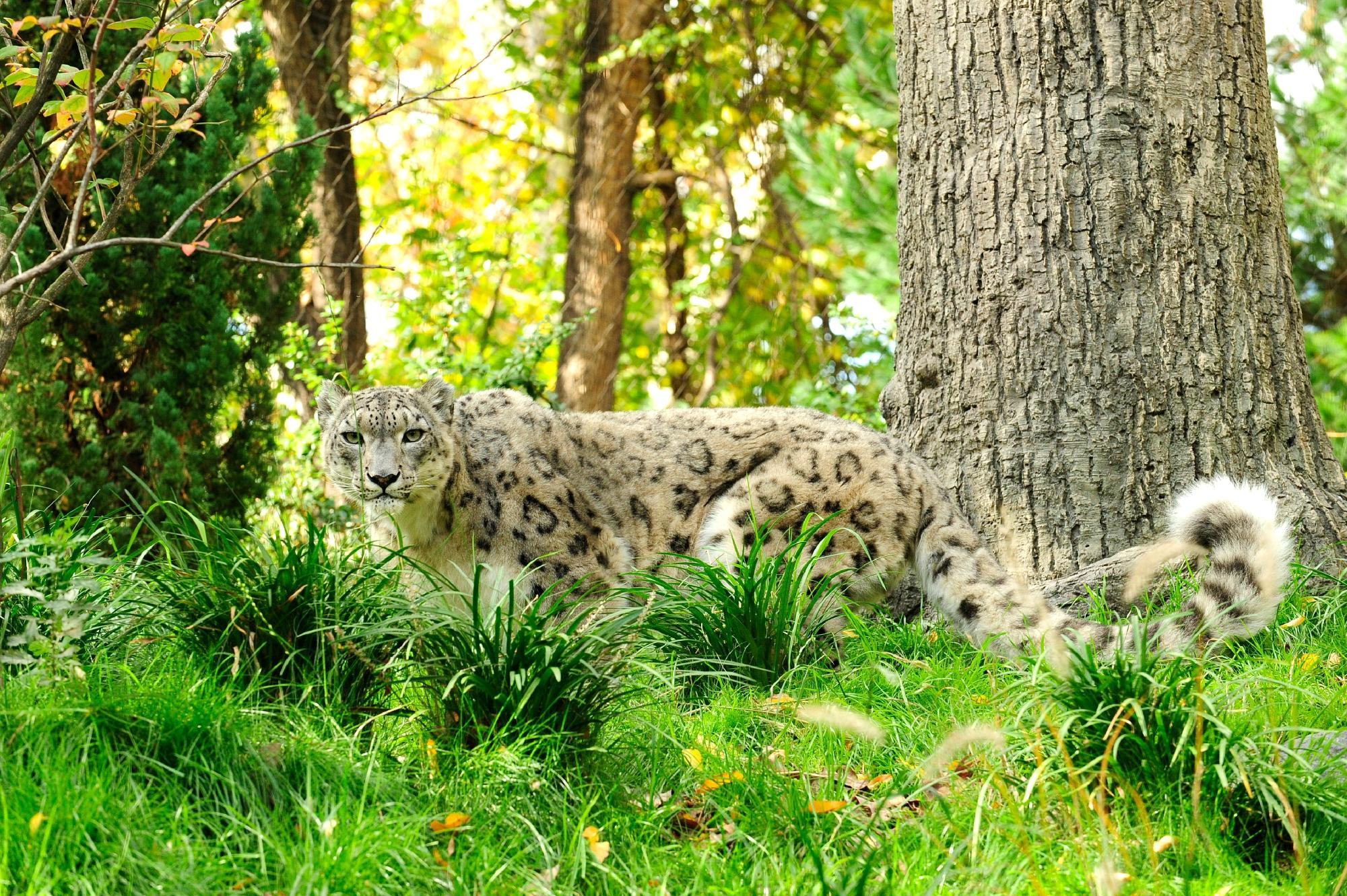 Central Park Zoo