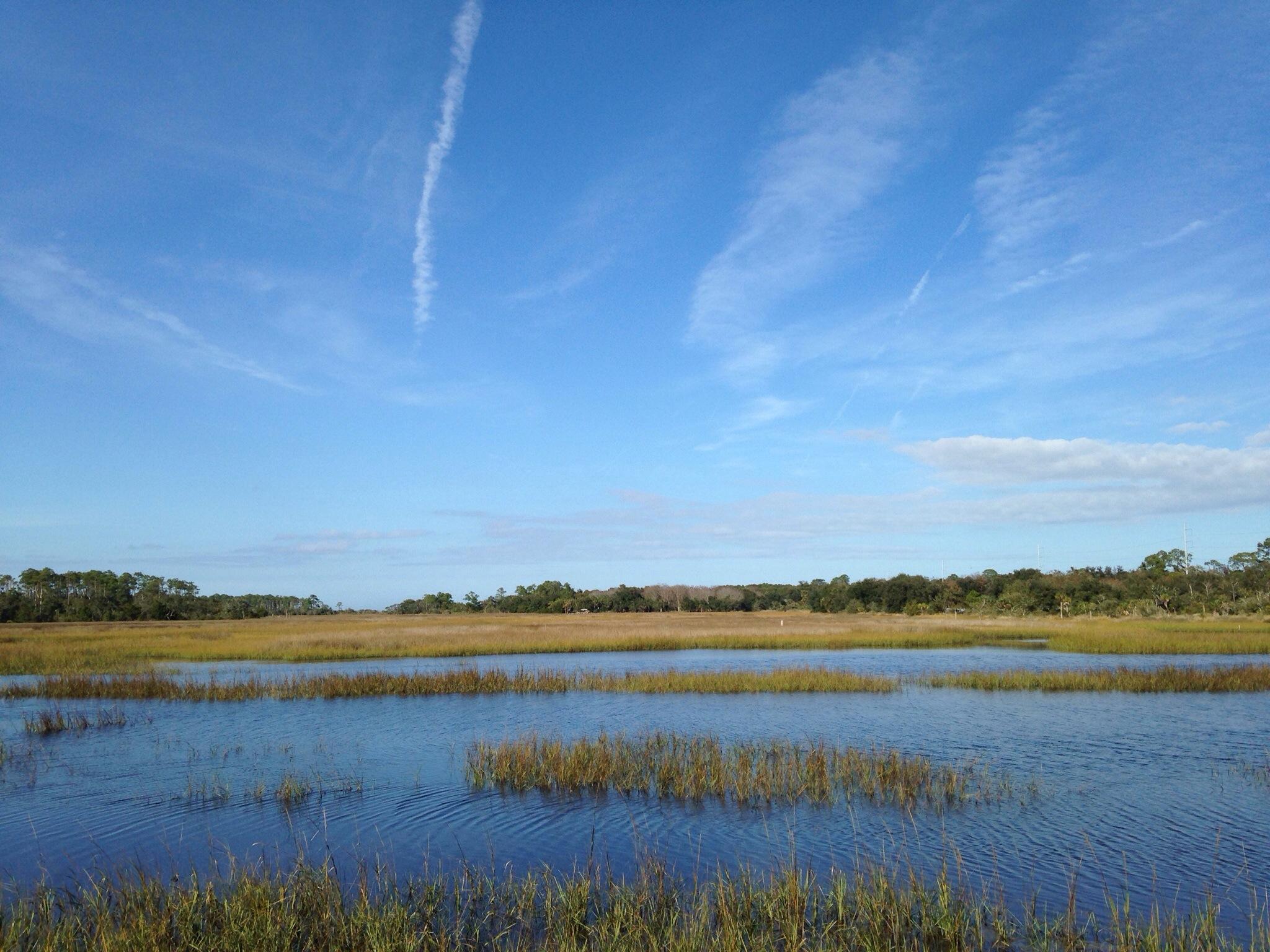 Dutton Island Preserve