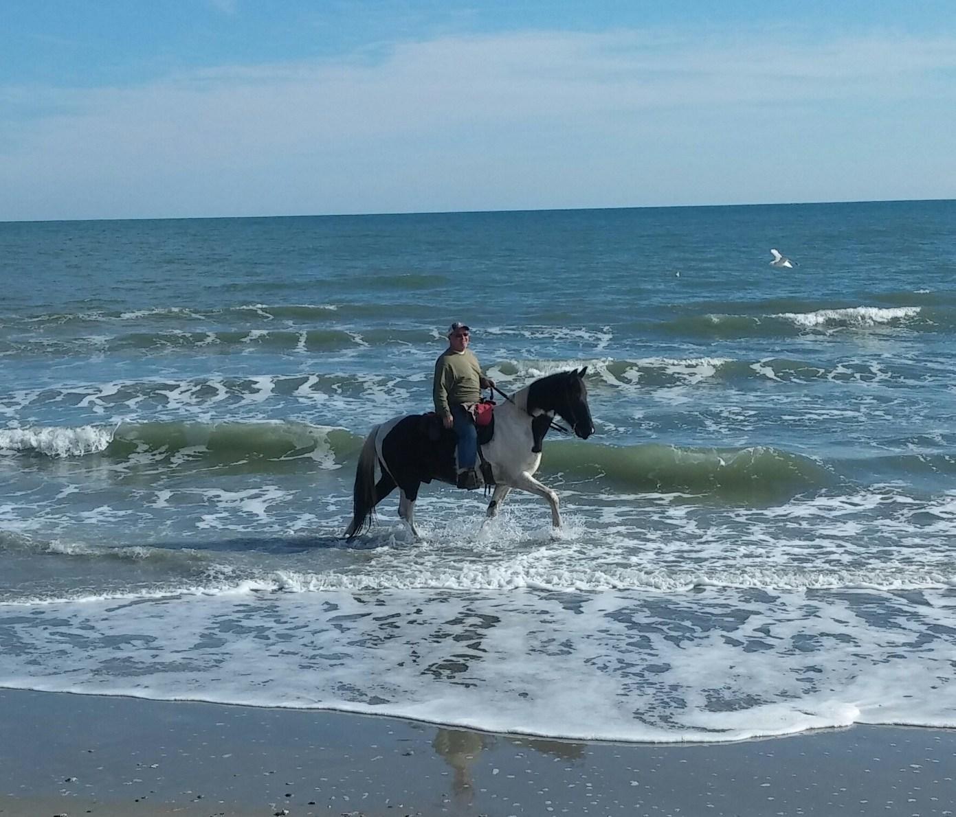 Horseback Riding of Myrtle Beach