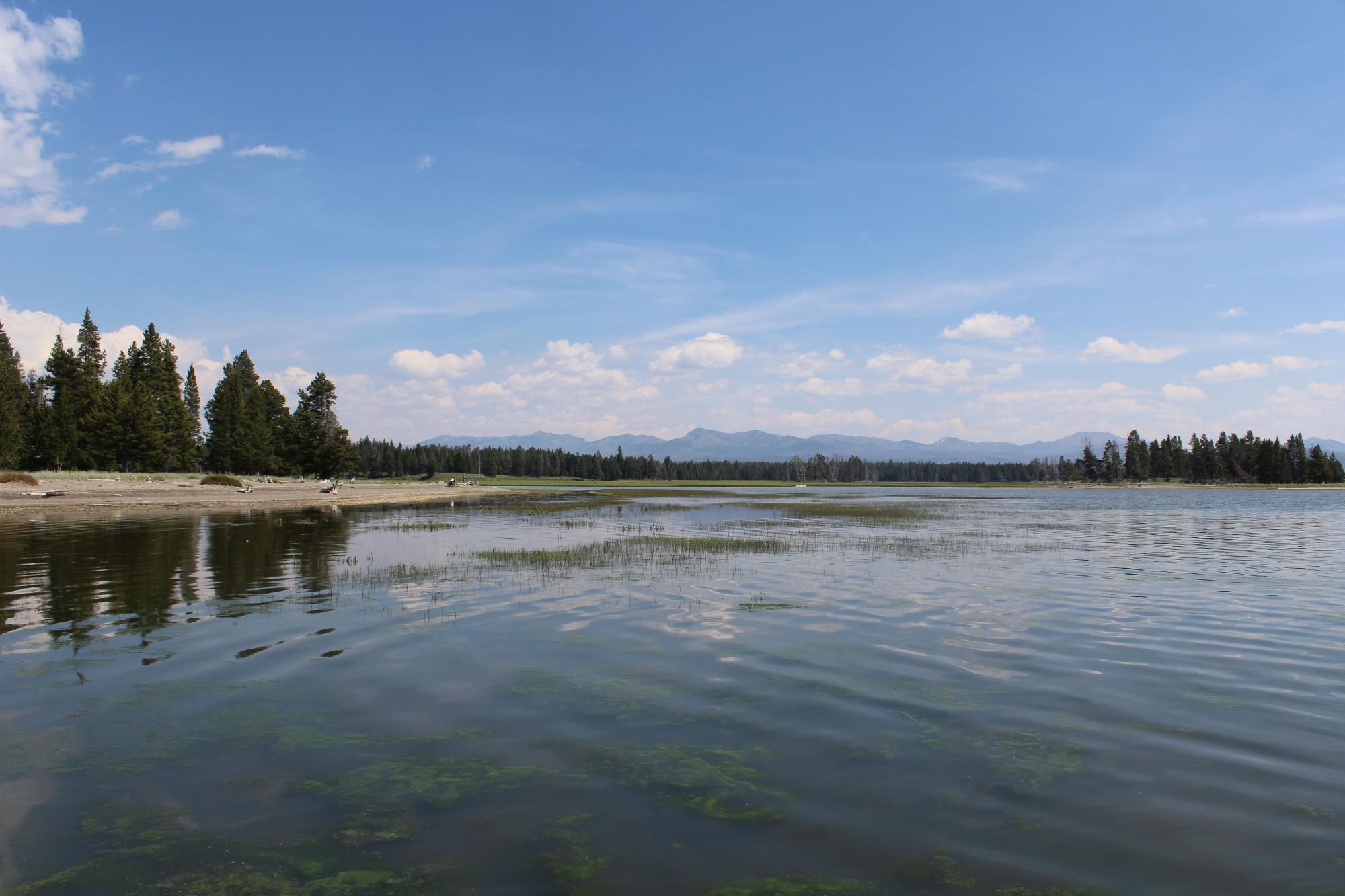 Pelican Creek Trail