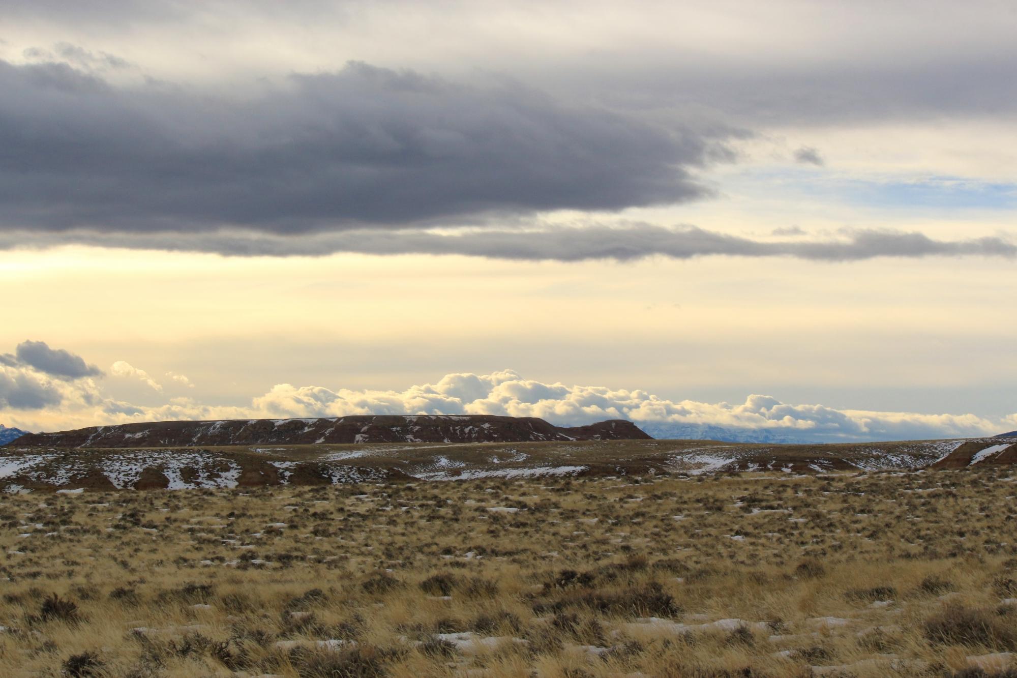 McCullough Peaks Herd Management Area