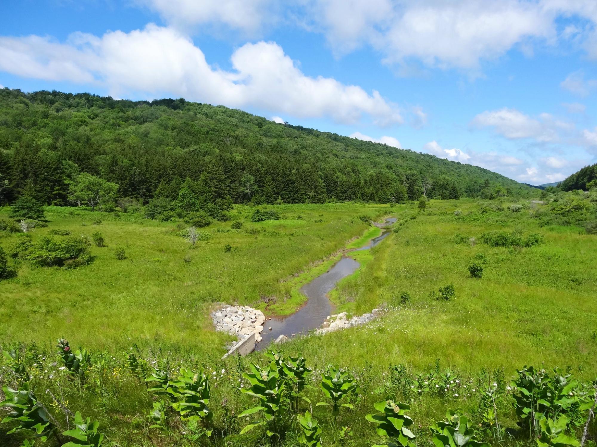 Spruce Knob