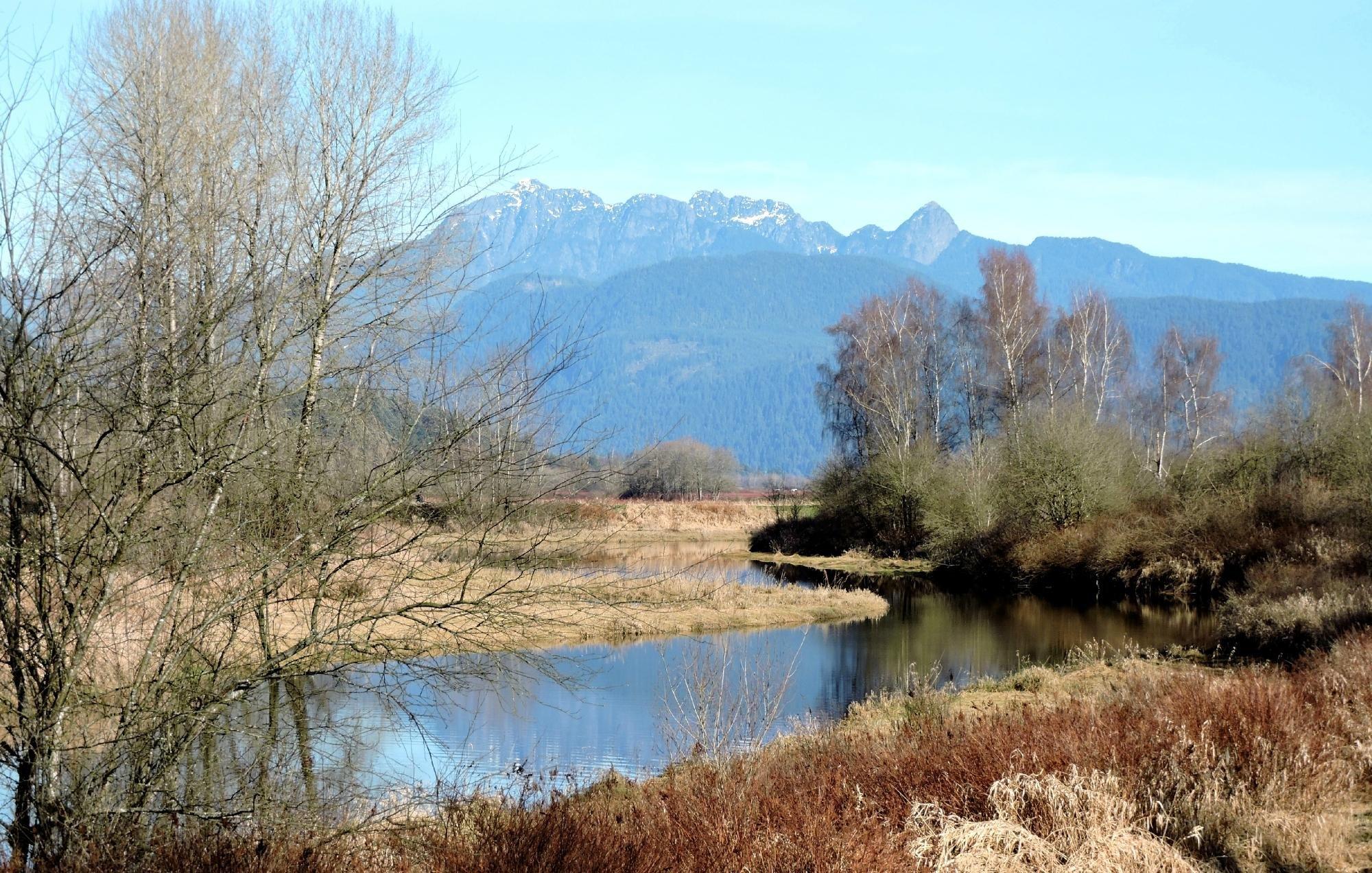 Traboulay Poco Trail