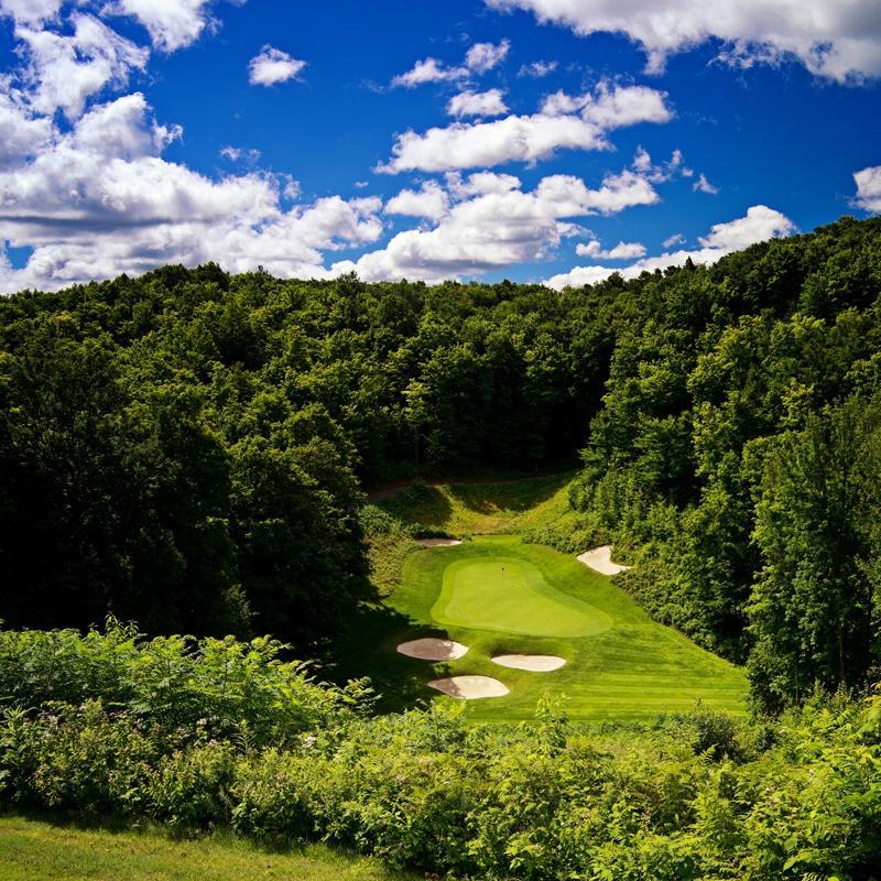 Treetops Golf Club