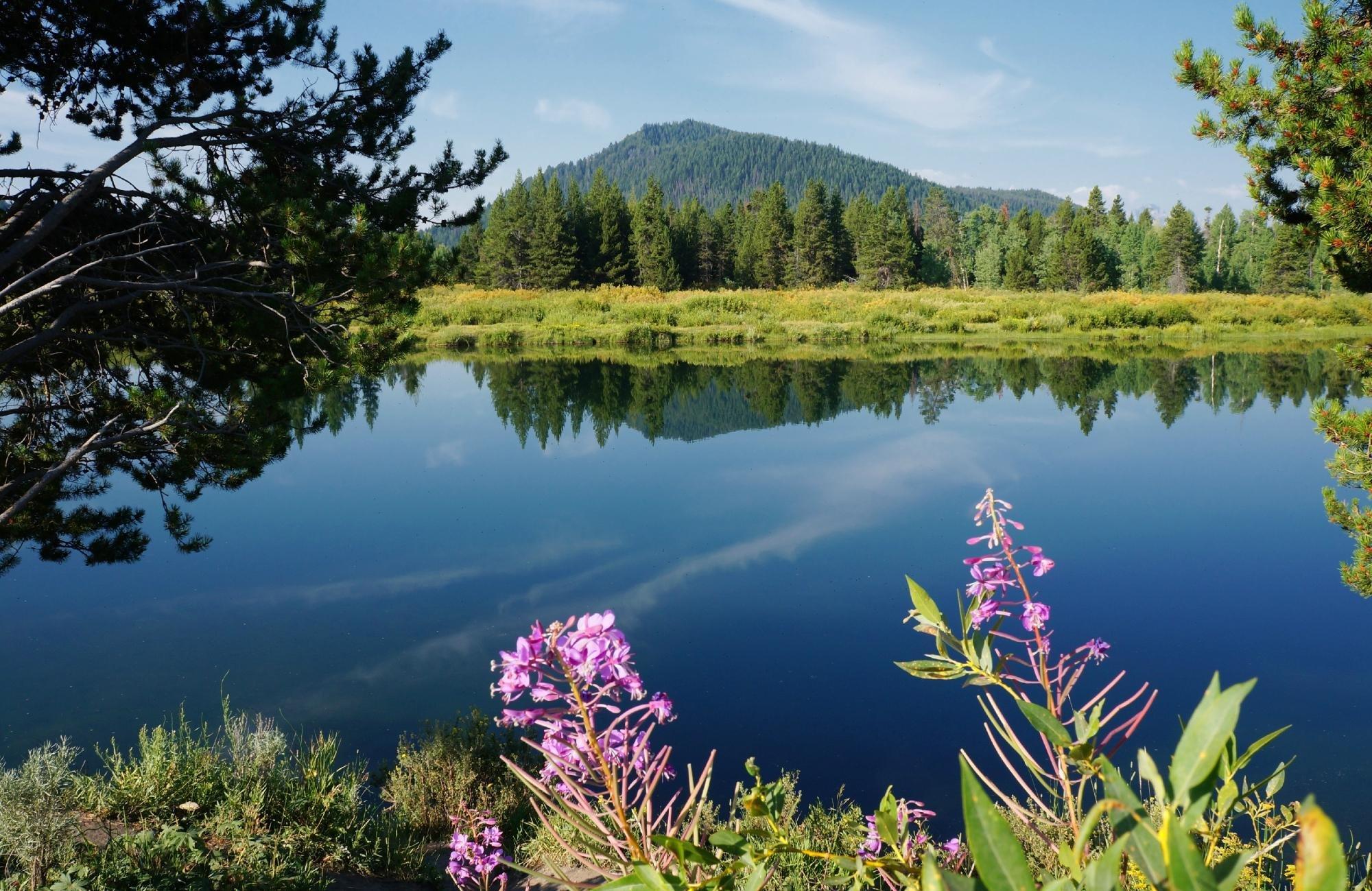 Snake River