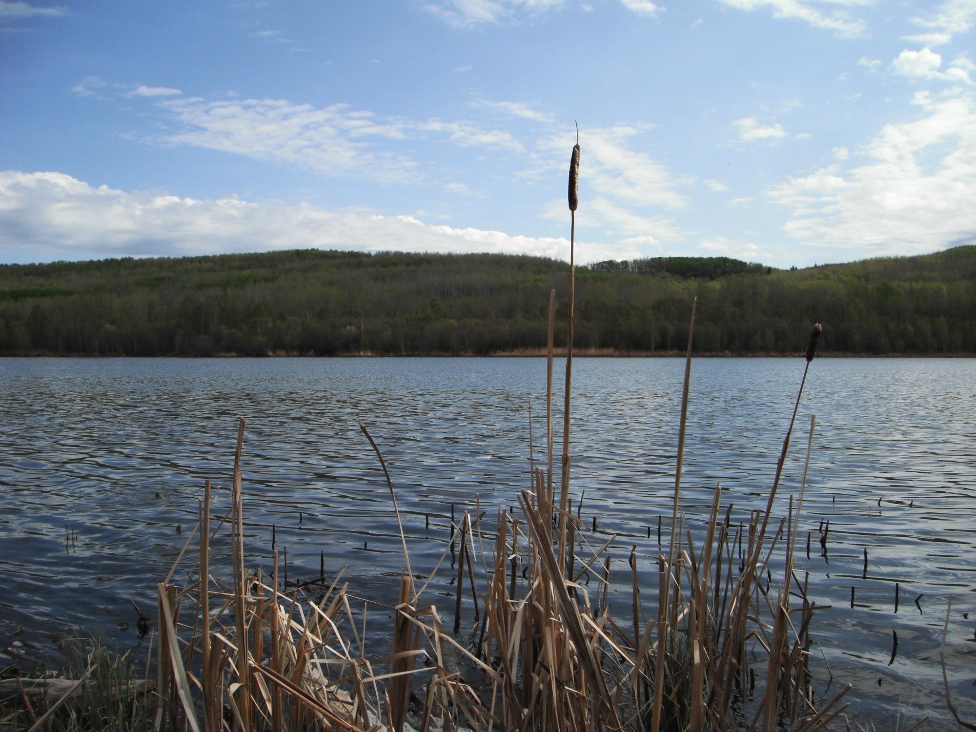 Long Lake Provincial Park