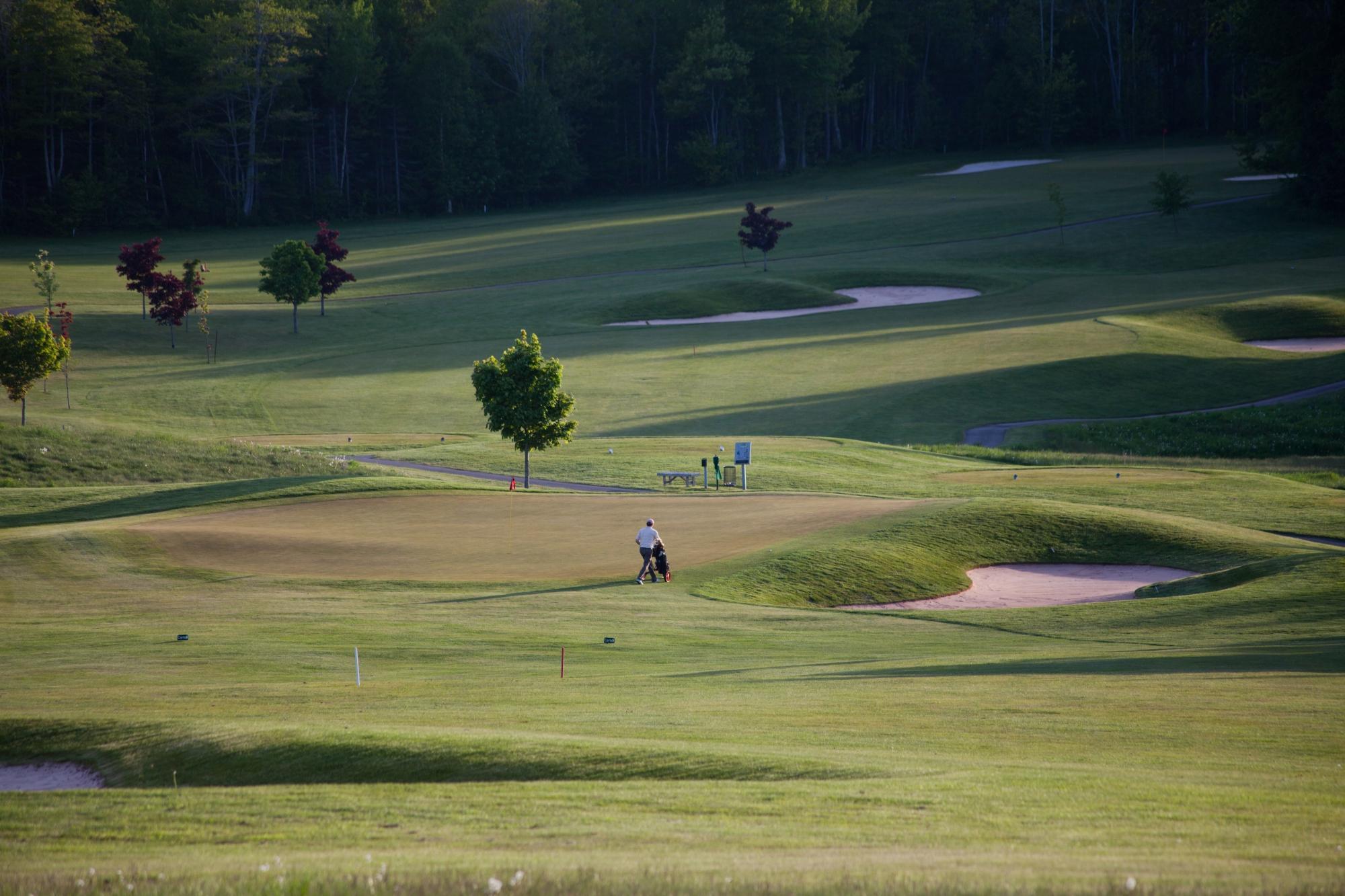 Fox Meadow Golf Club