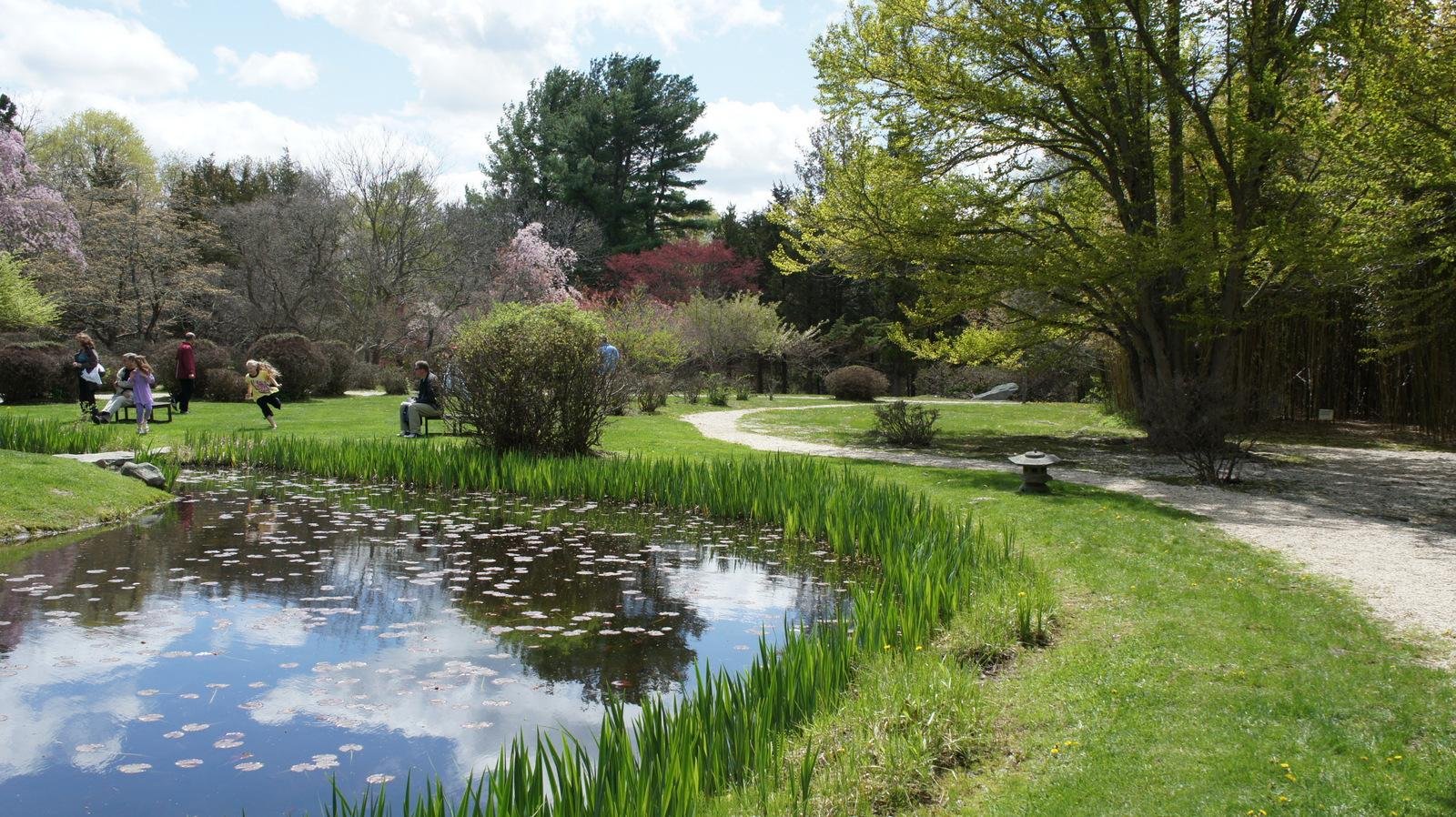 Hammond Museum & Japanese Stroll Garden