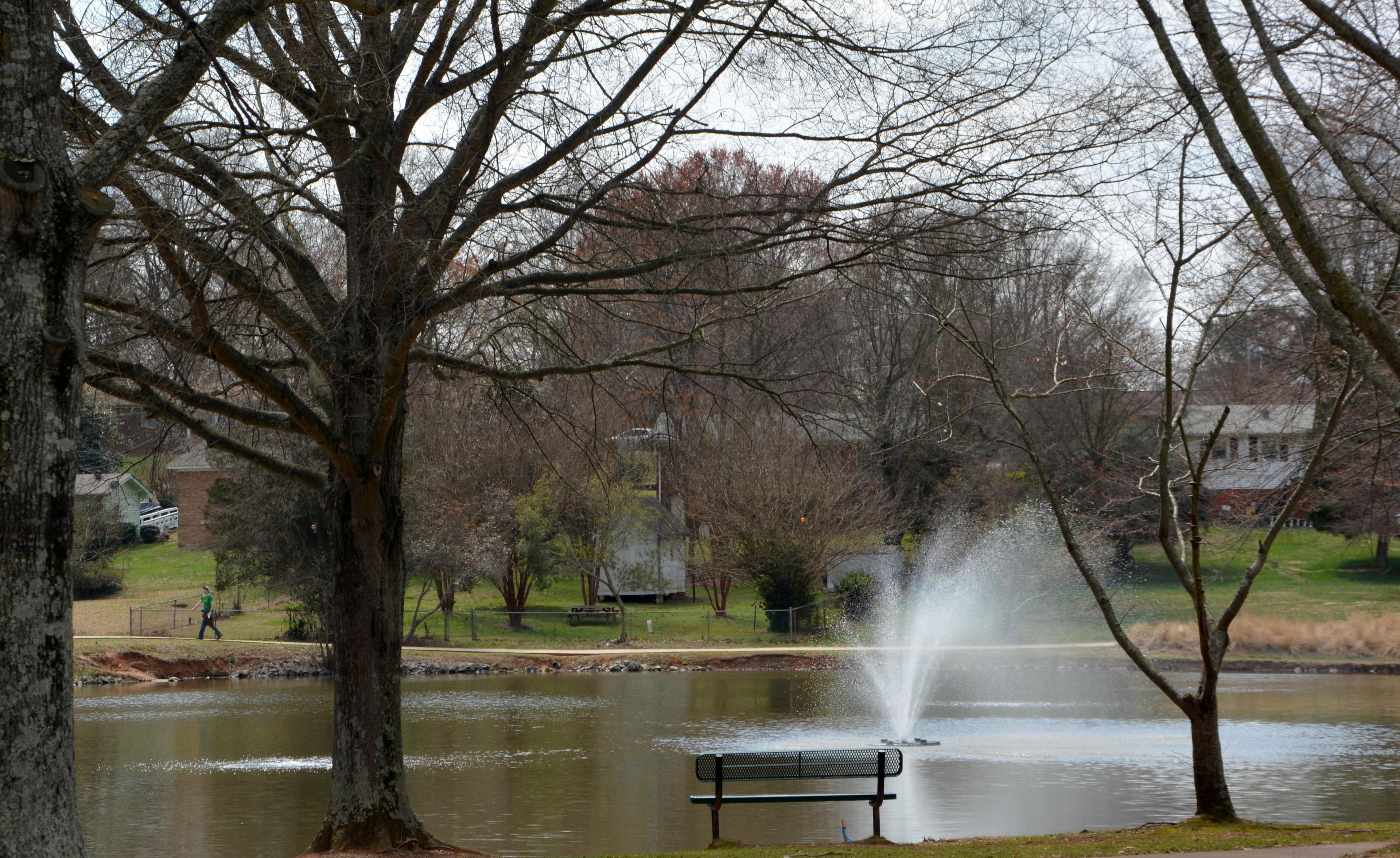 Roosevelt Wilson Park