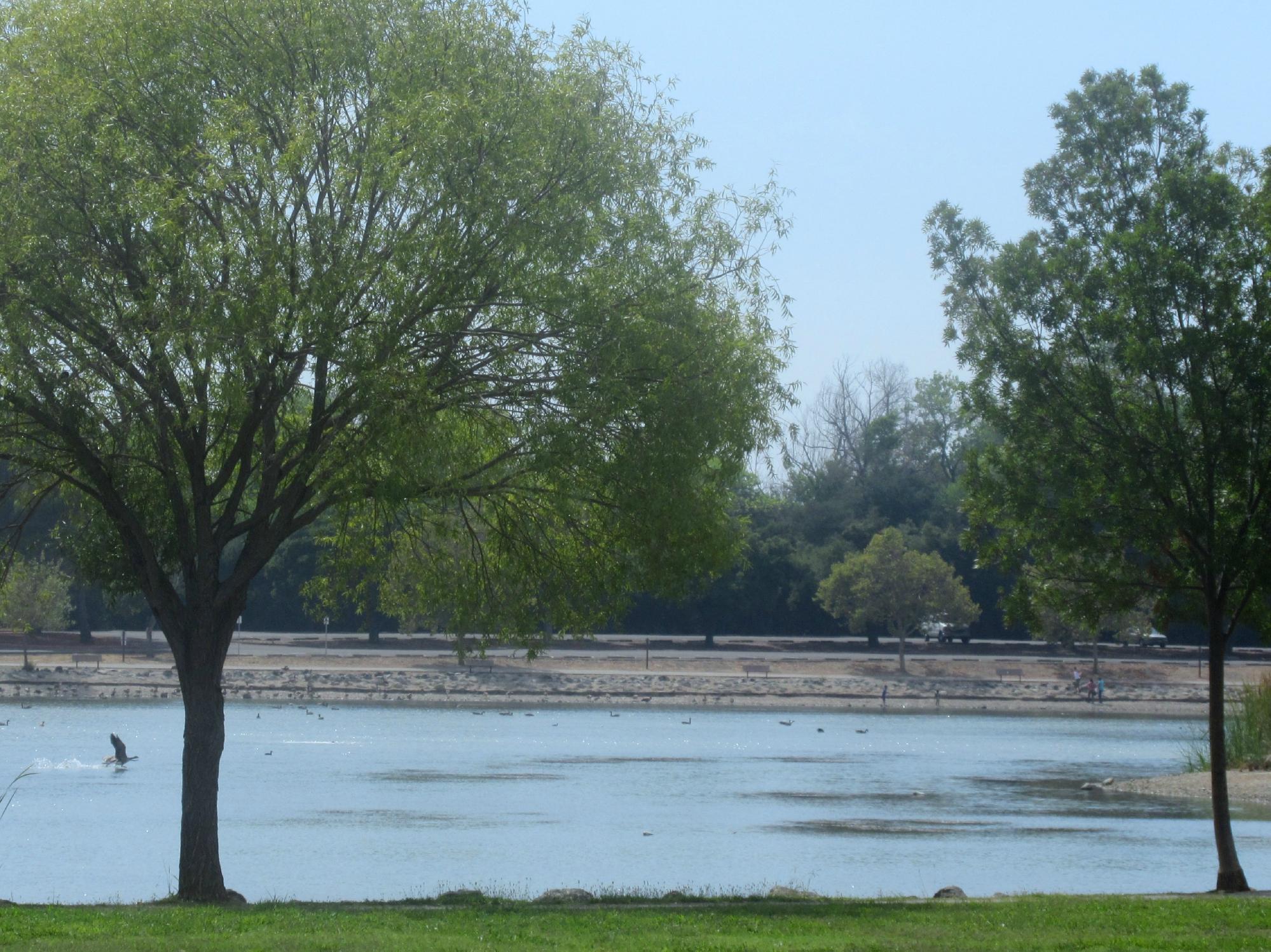 Hellyer County Park