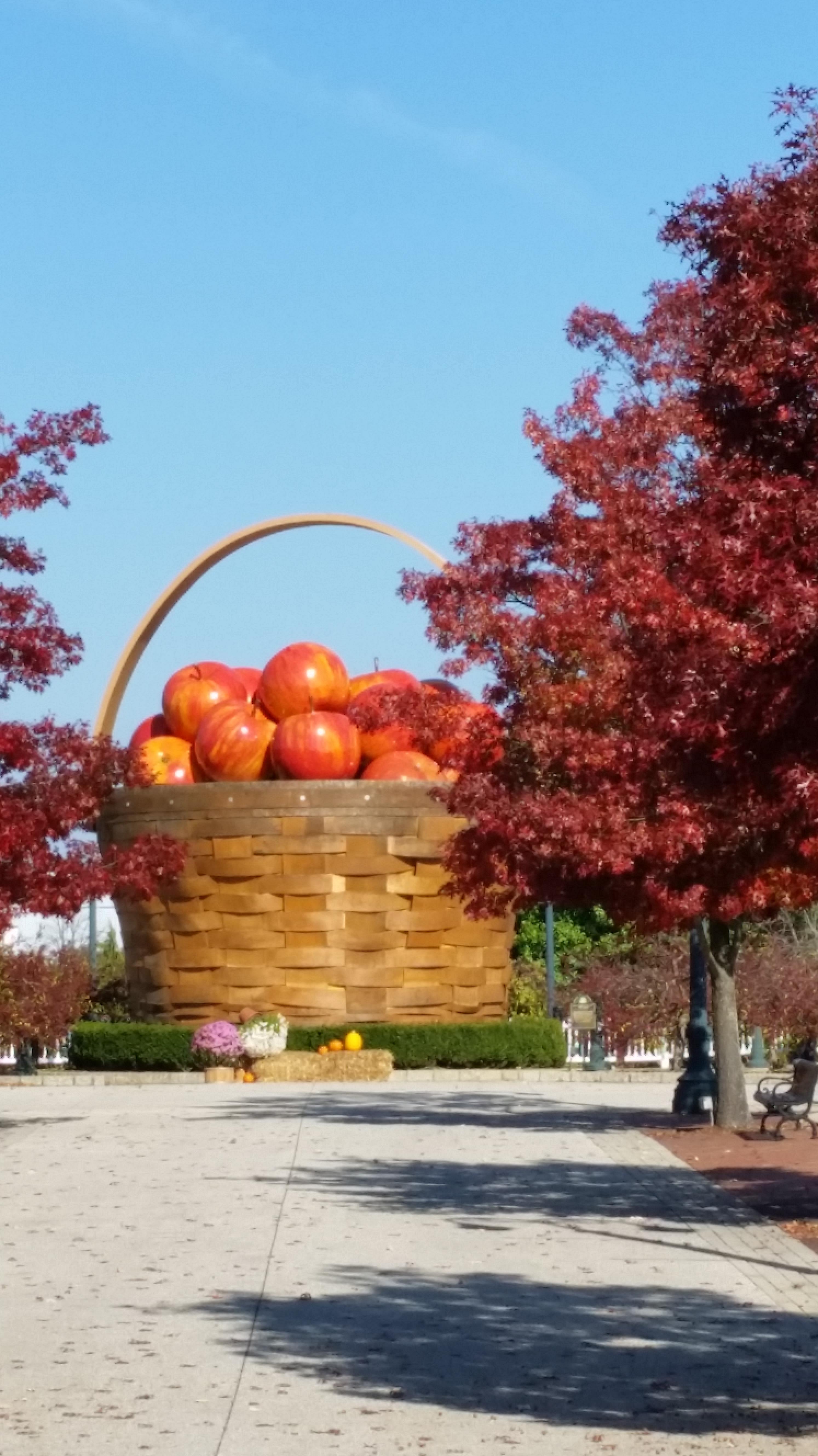 Longaberger Co the