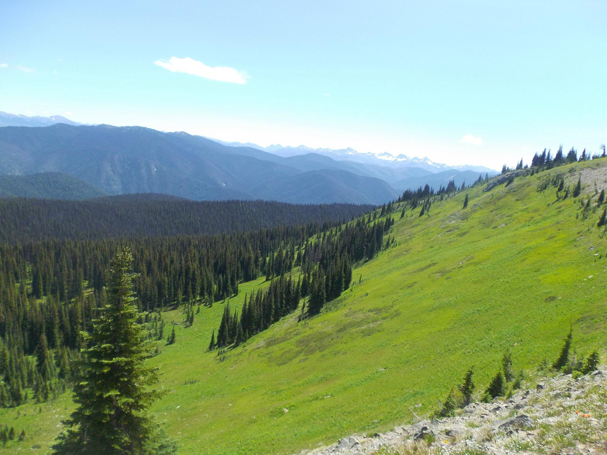 Heather Meadows Trail