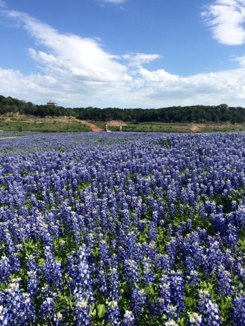 Muleshoe Bend Recreation Area