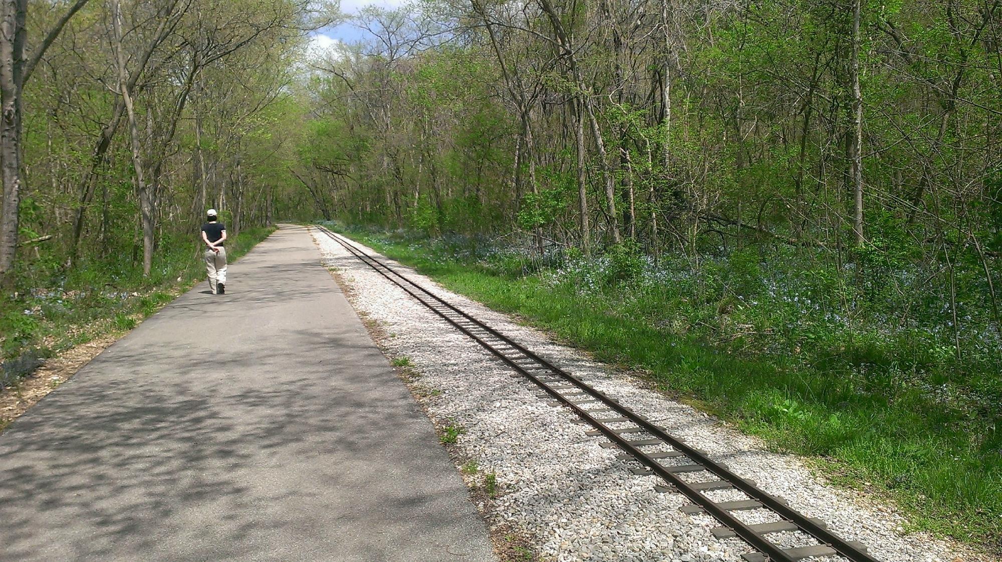 Rock Hollow Trail