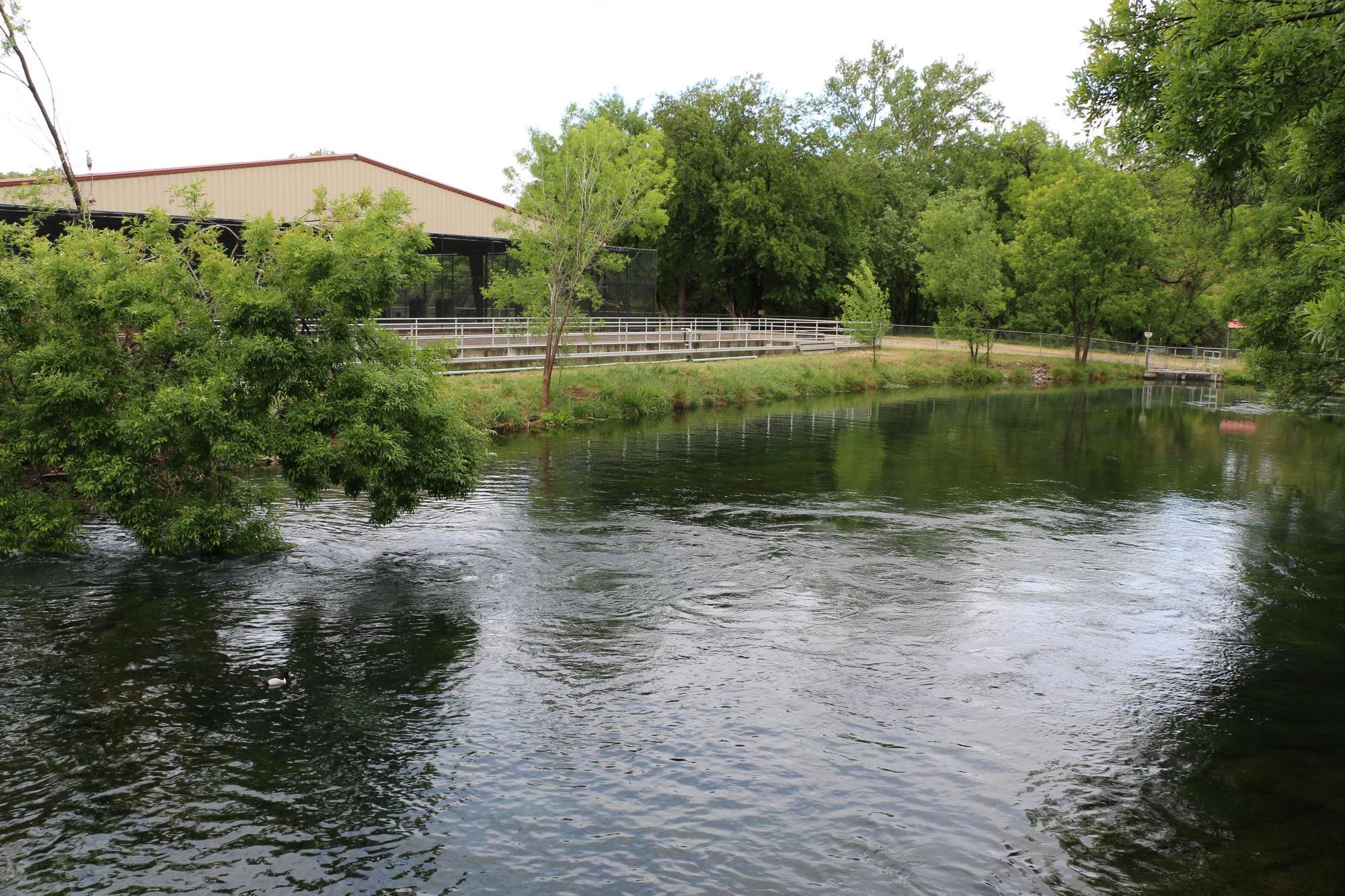 Page Springs Fish Hatchery