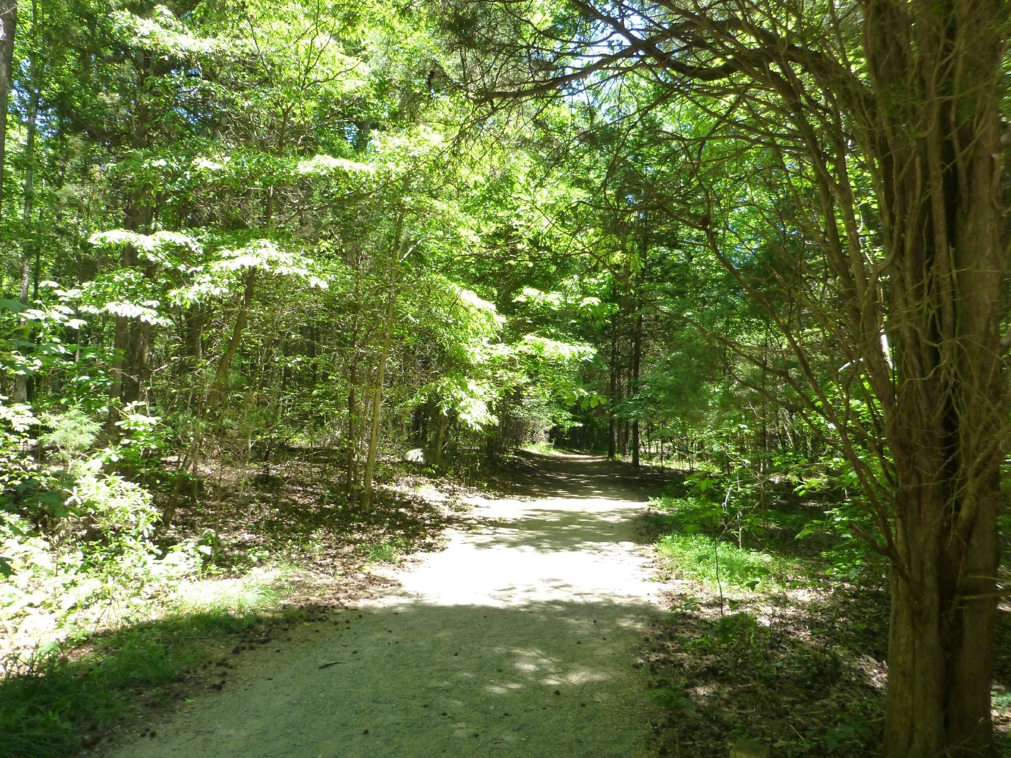 Reedy Creek Nature Center