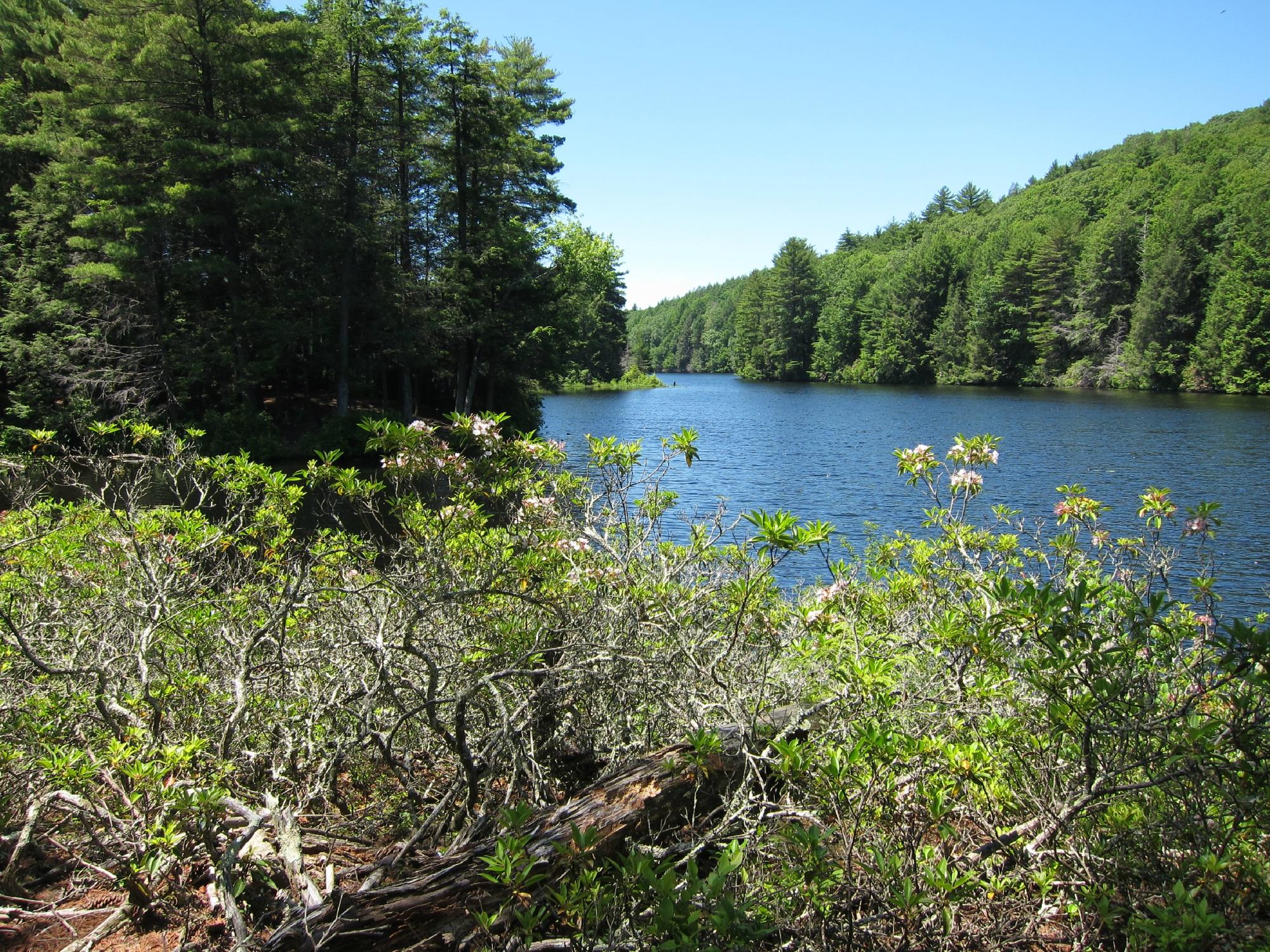 Bigelow Hollow State Park