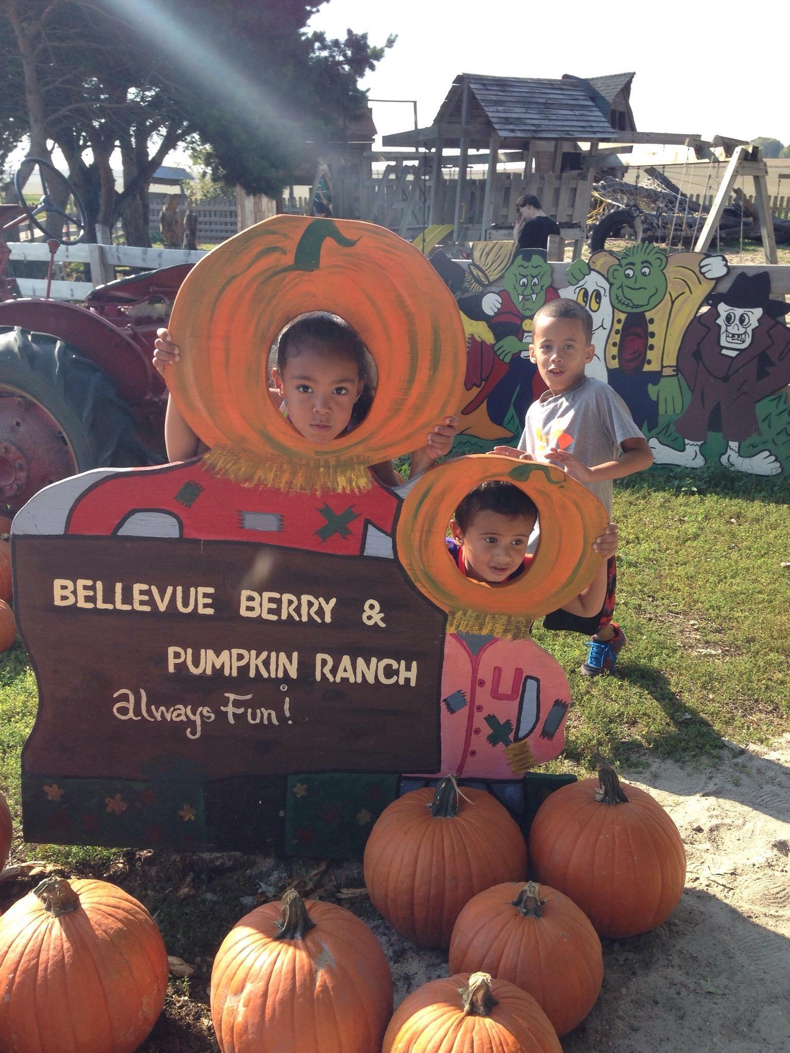 Bellevue Berry & Pumpkin Ranch