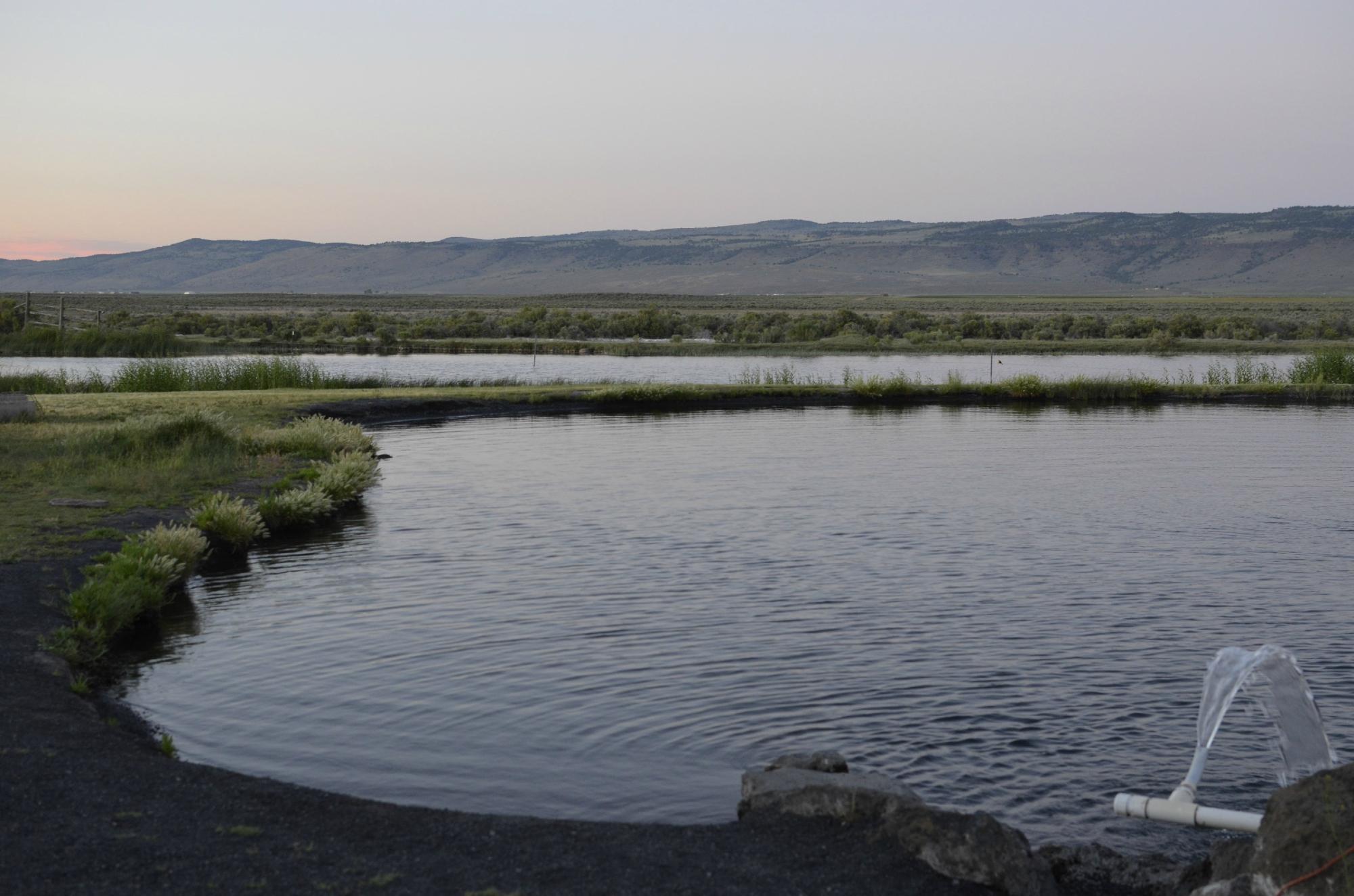 Crystal Crane Hot Springs