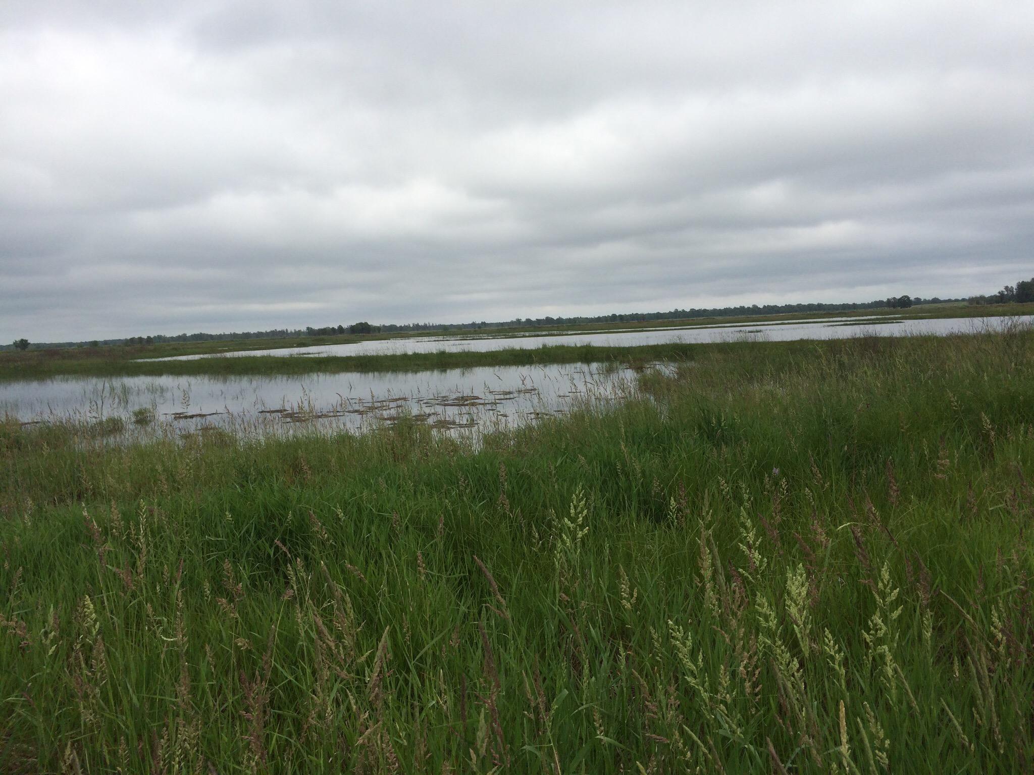 Necedah National Wildlife Rfge