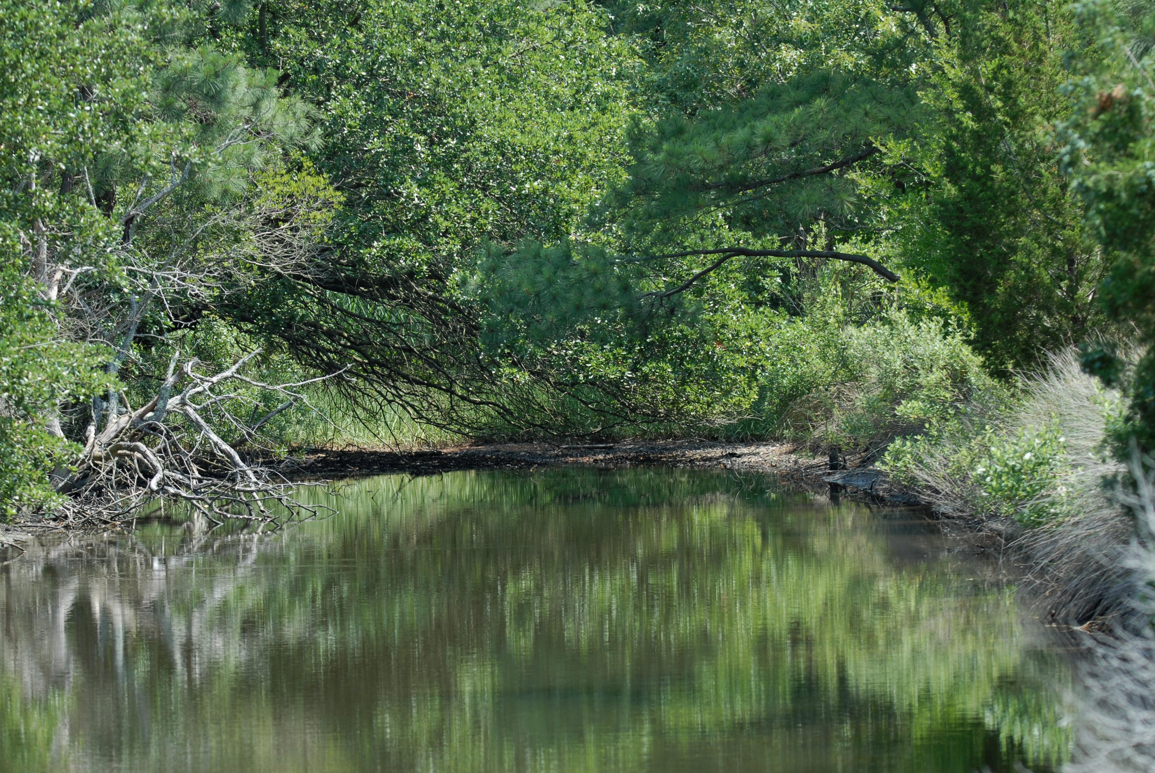 Brock Environmental Center - Chesapeake Bay Foundation