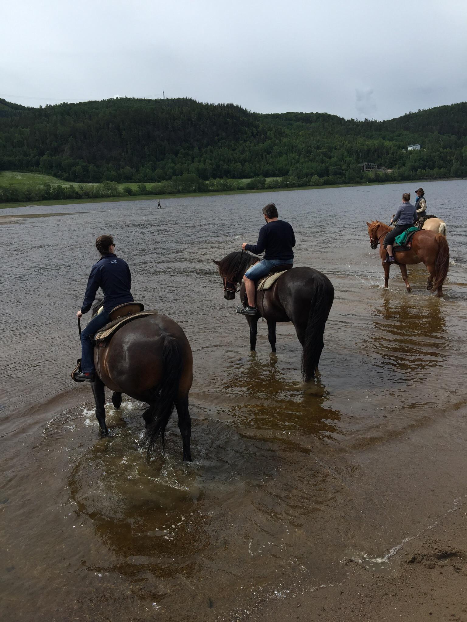 Centre Equestre des Plateaux