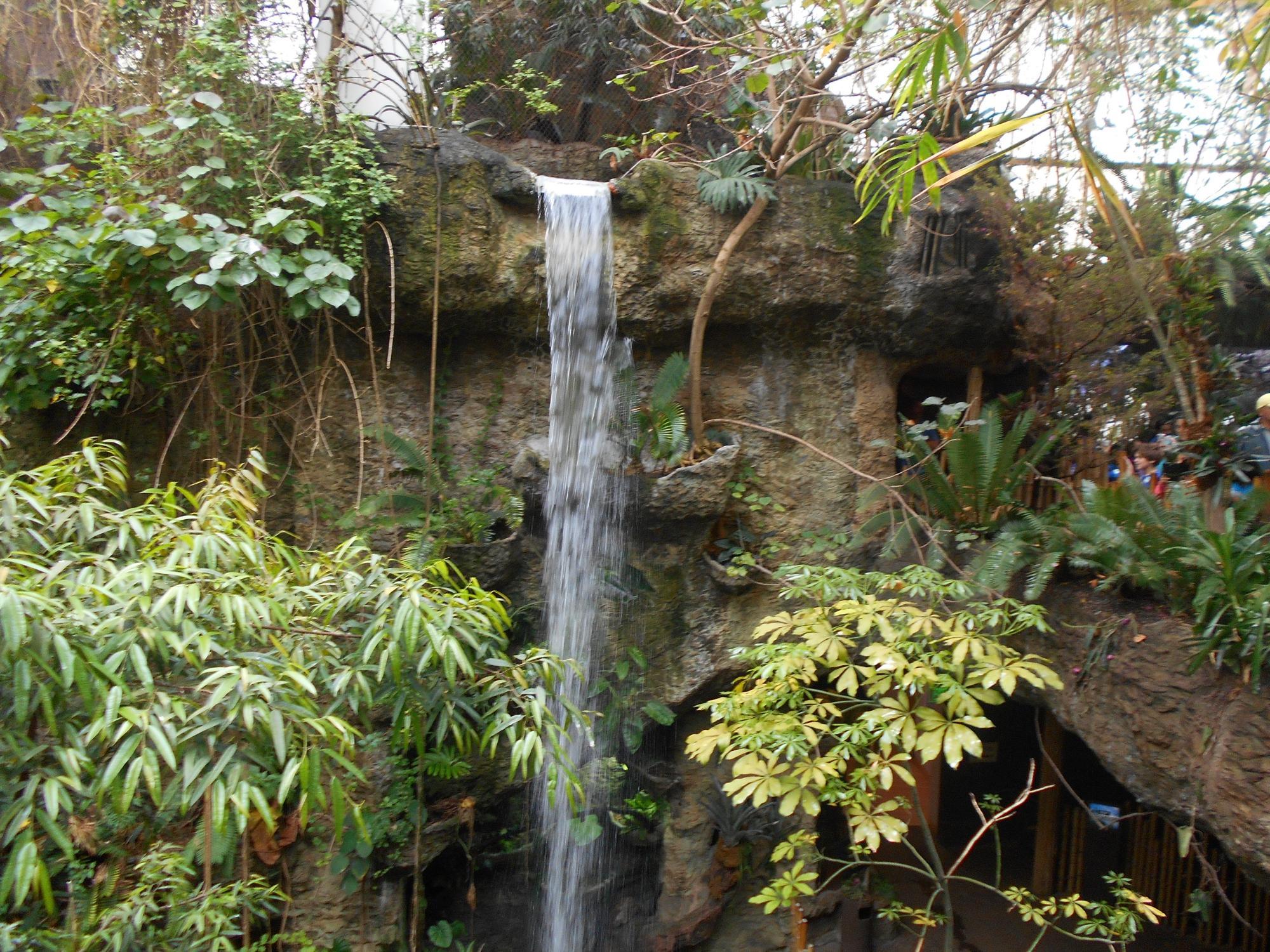 The Dallas World Aquarium