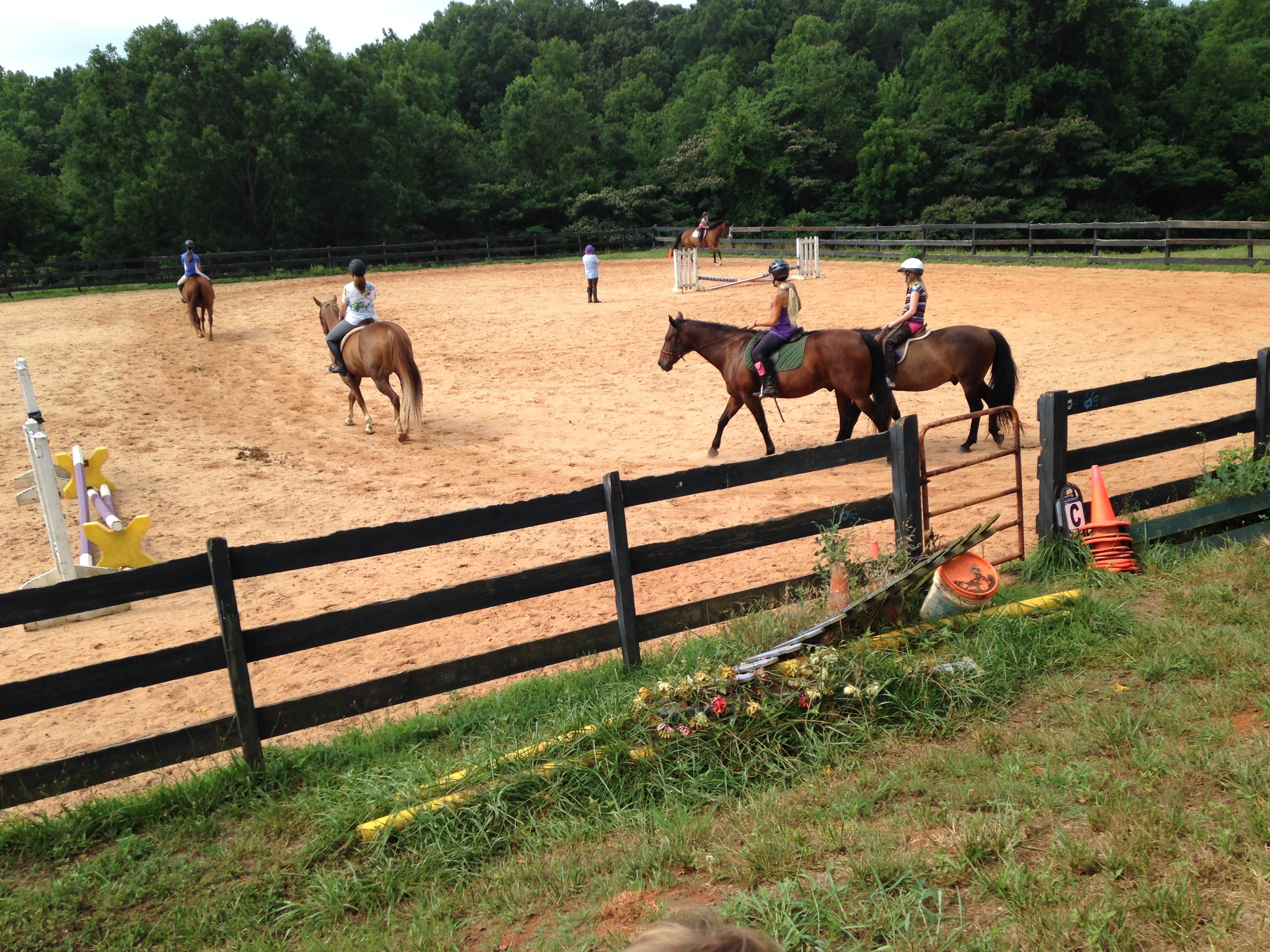 Scotsgrove Stables