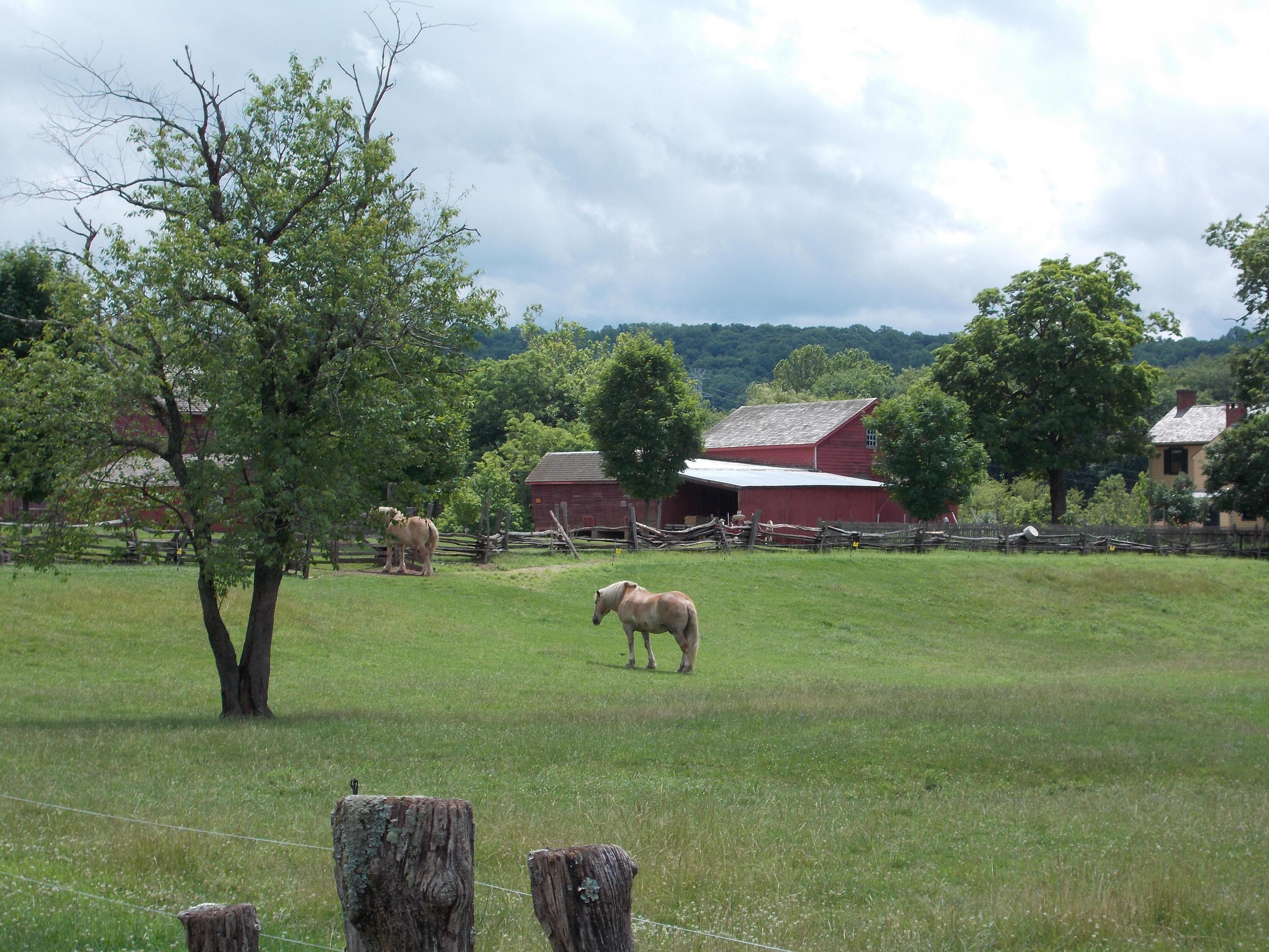 Howell Living History Farm