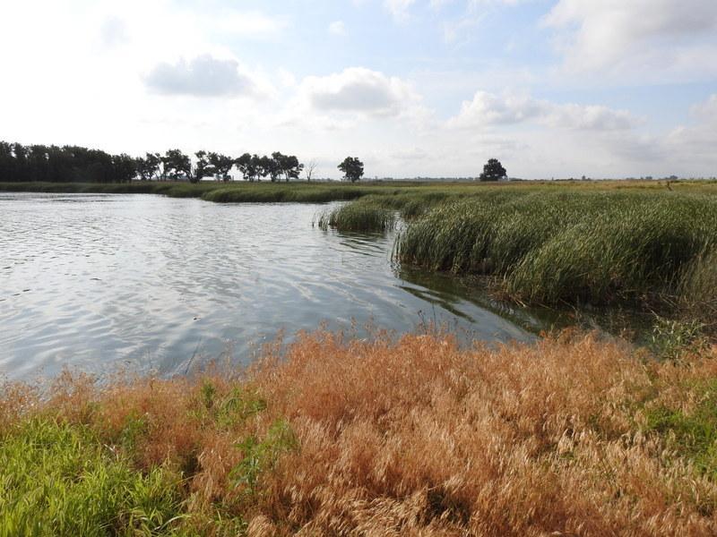 Quivira National Wildlife Rfg