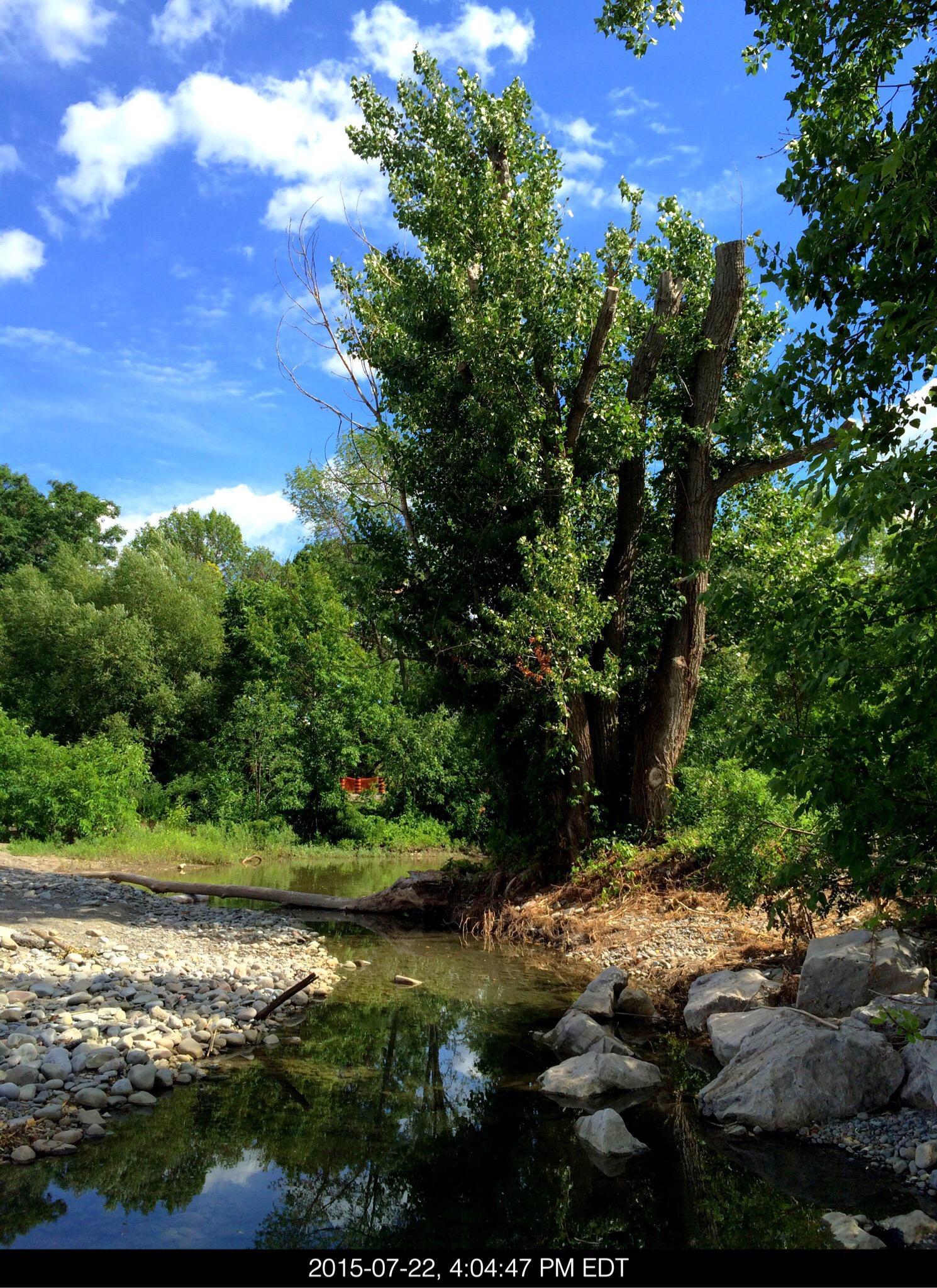 Confederation Beach Park