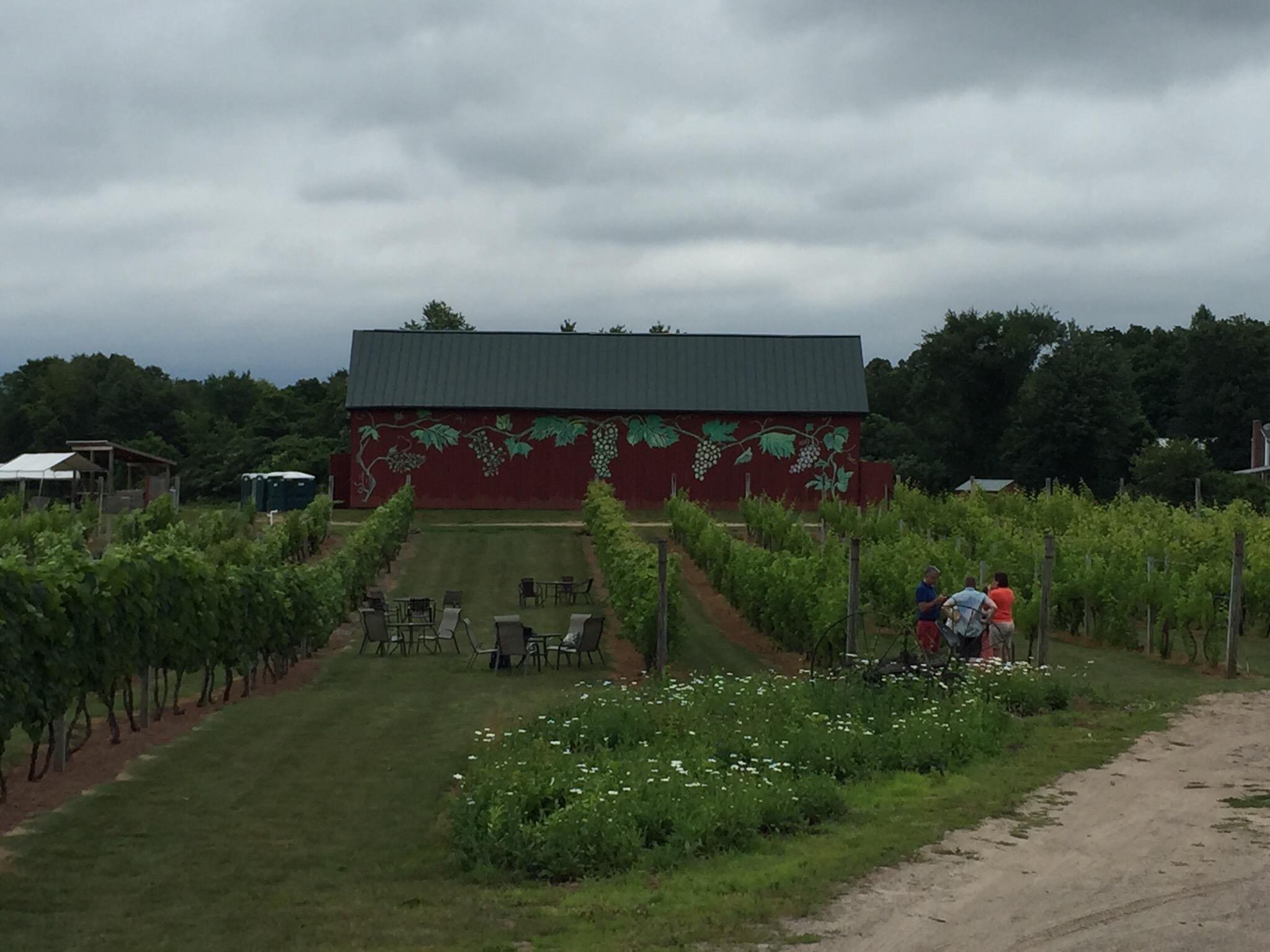 Rosedale Farms & Vineyards