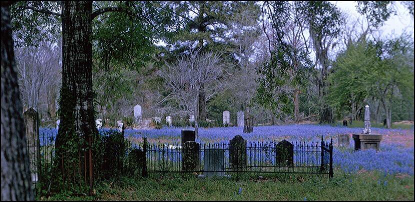 Old City Cemetery