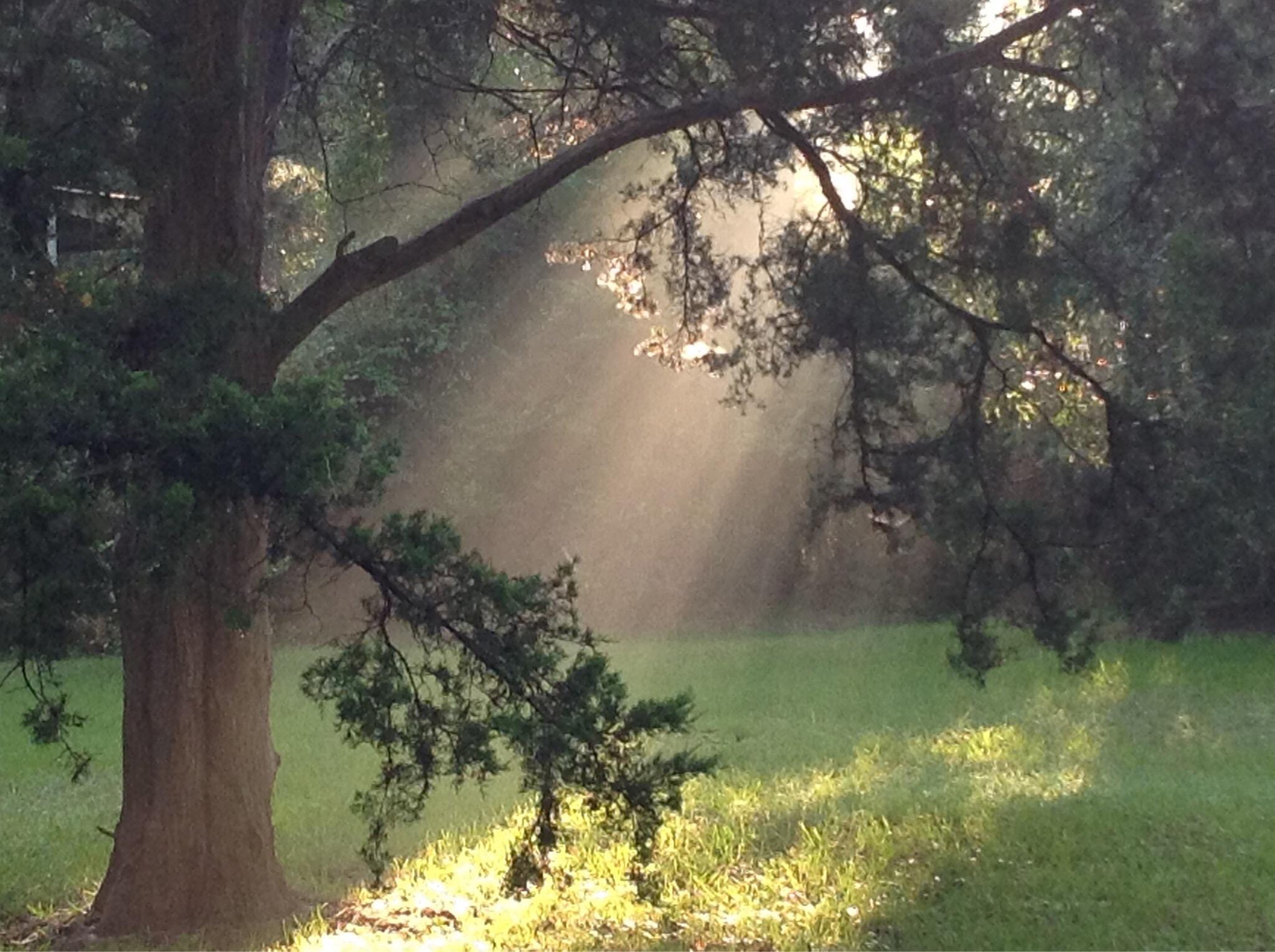 Onalaska City Park