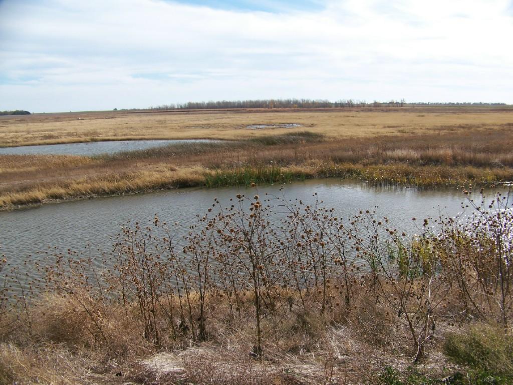 Kansas Wetlands Education Center