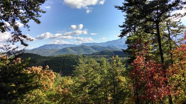 Outdoors in the Smokies