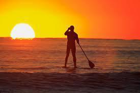 Surf's Up Paddle Boarding