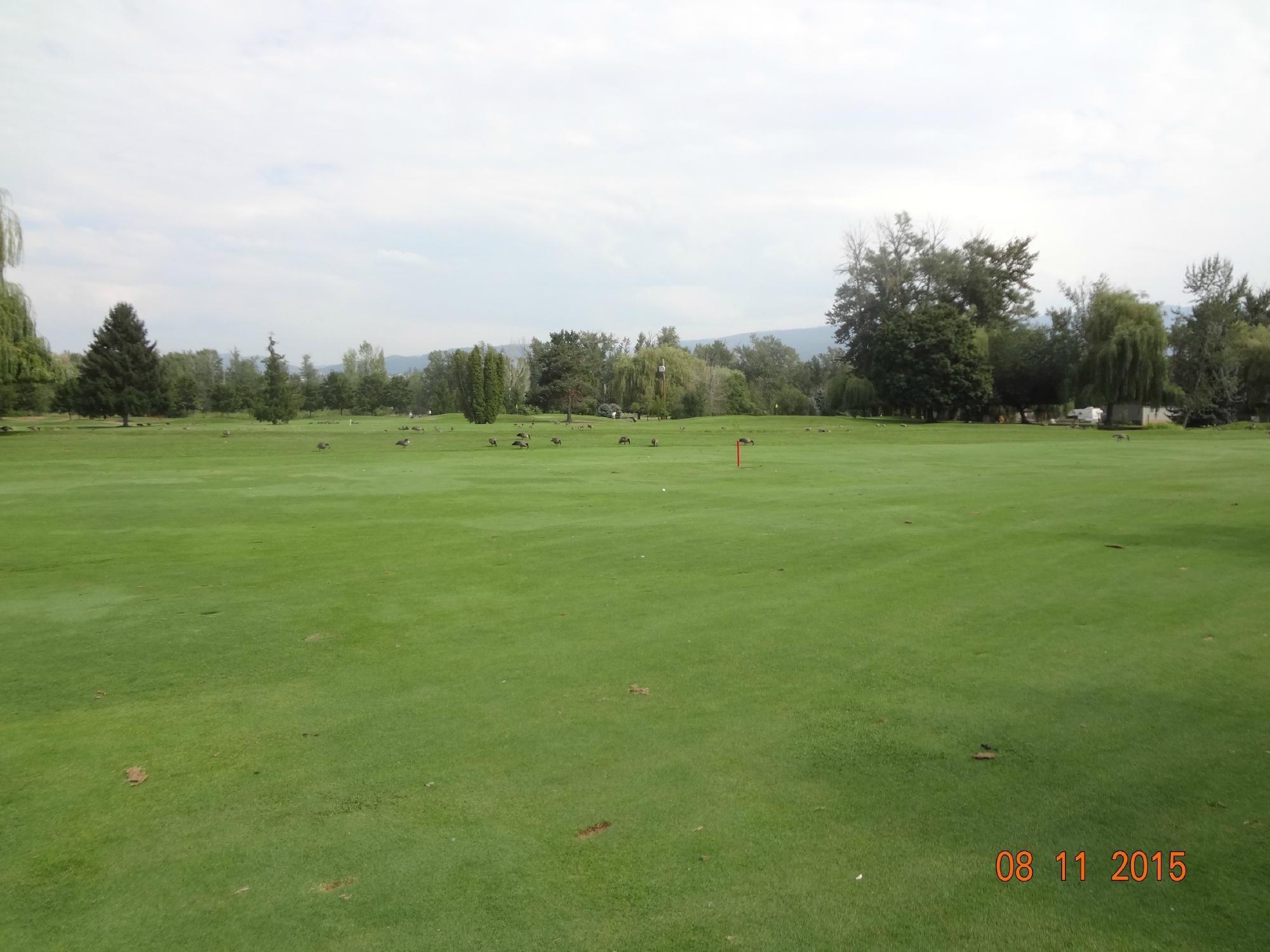 Mission Creek Golf Club