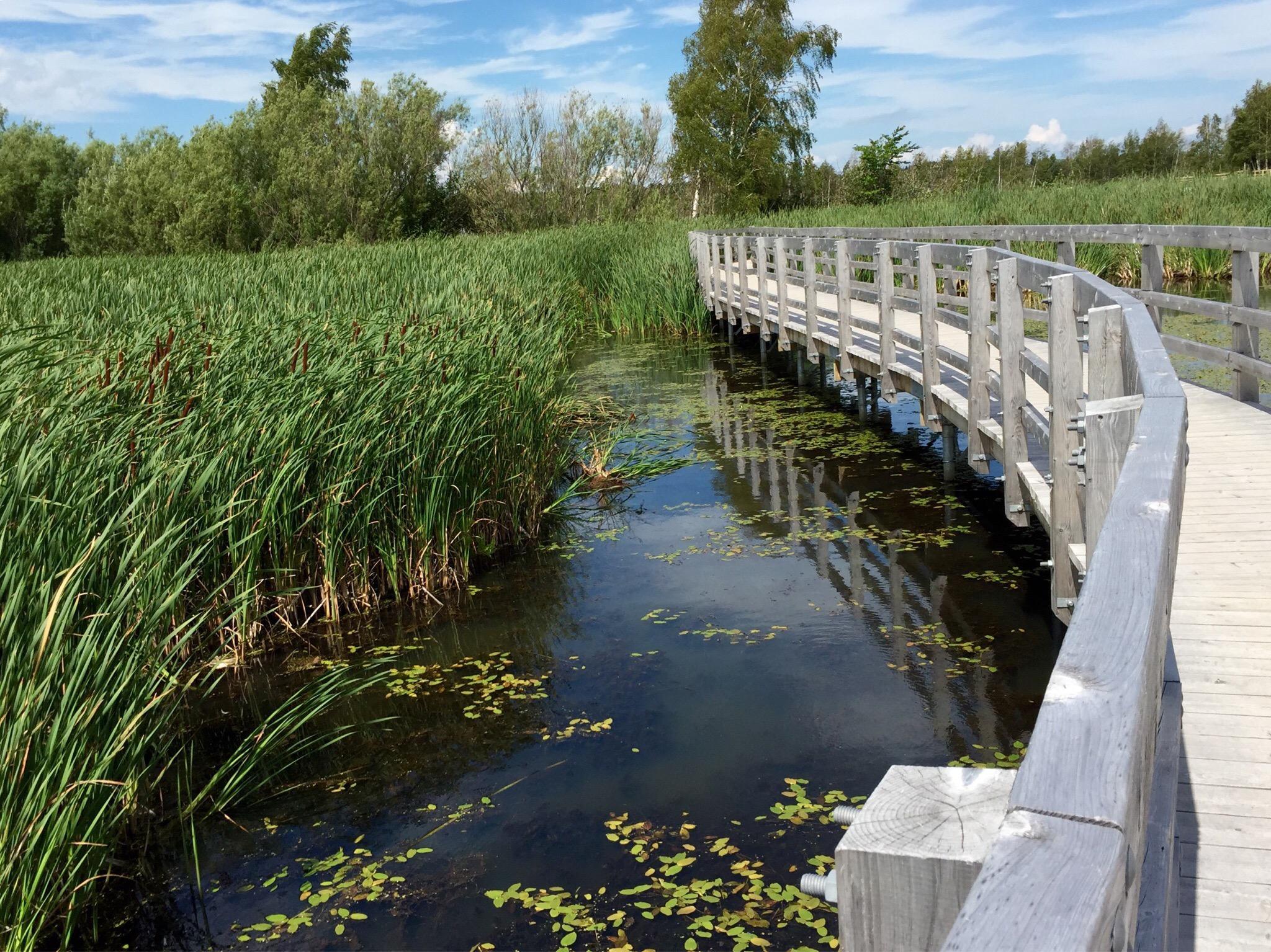 Sackville Waterfowl Park